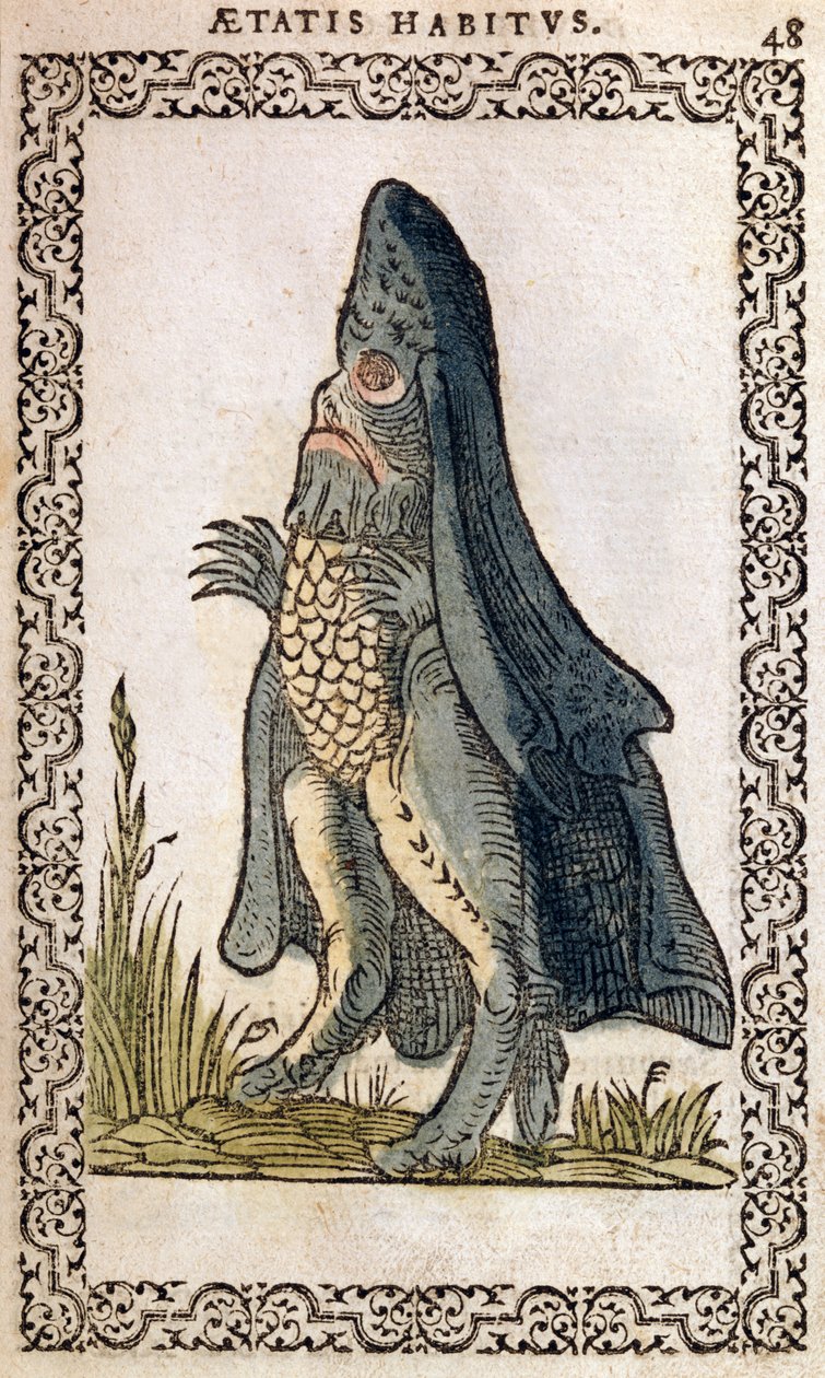O monstro do mar Bishop Mar, quase todas as pessoas da nossa idade de uma postura nacional e uma estátua por Jean Sluperji, Antuérpia, 1572 (woodcut da cor) de Flemish School