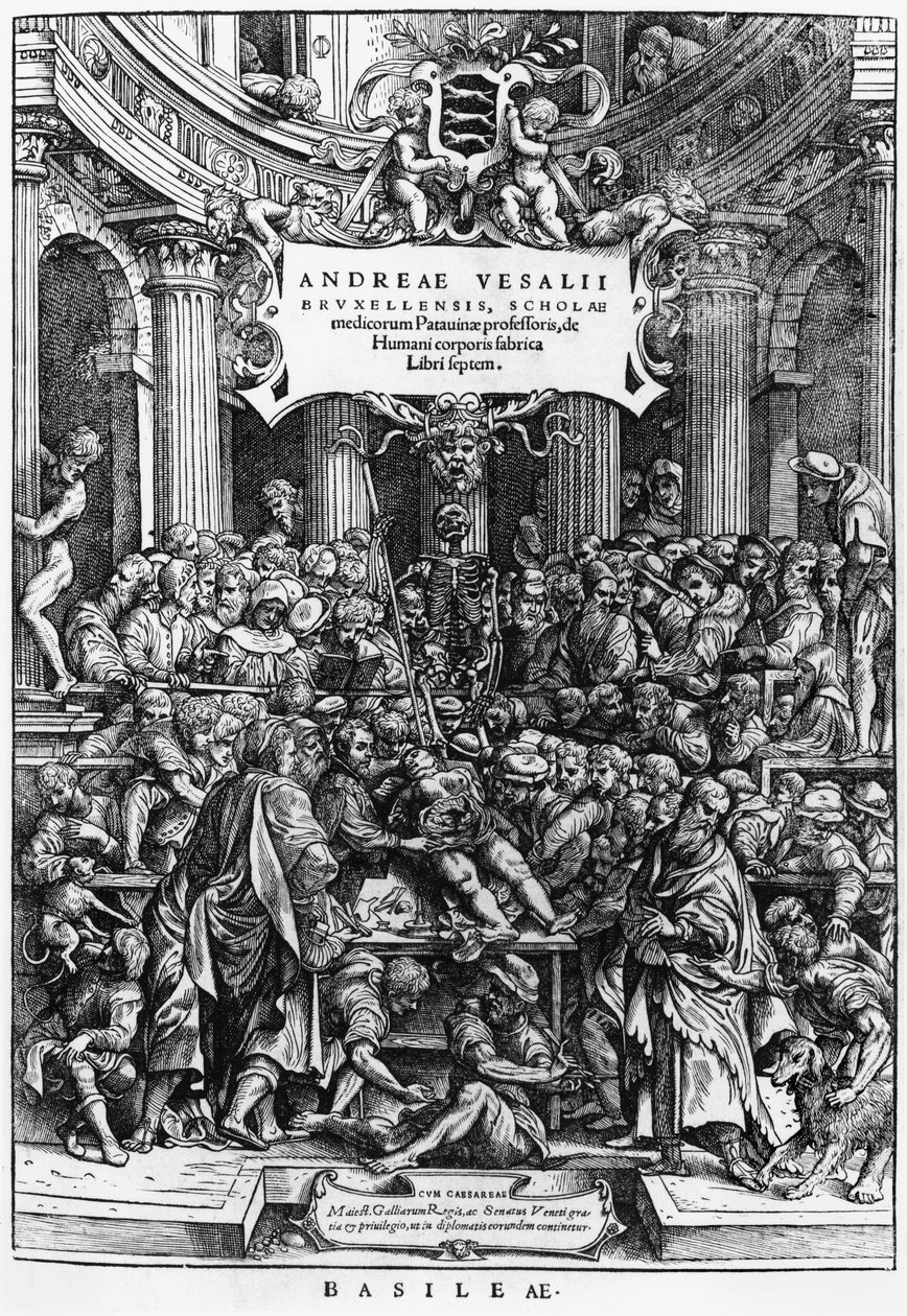 A aula de anatomia de Andreas Vesalius (1514-64) na escola de medicina em Bruxelas, frontispício de De Humani Corporis Fabrica, publicada em Basiléia, 1555 (ver também 466.697) de Flemish School