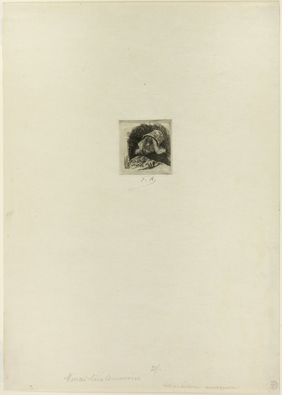 Jardineiro flamengo de Félicien Rops