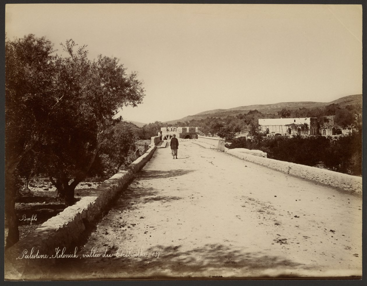 Palestina - Kolonick, Vale do Terebinto de Félix Bonfils