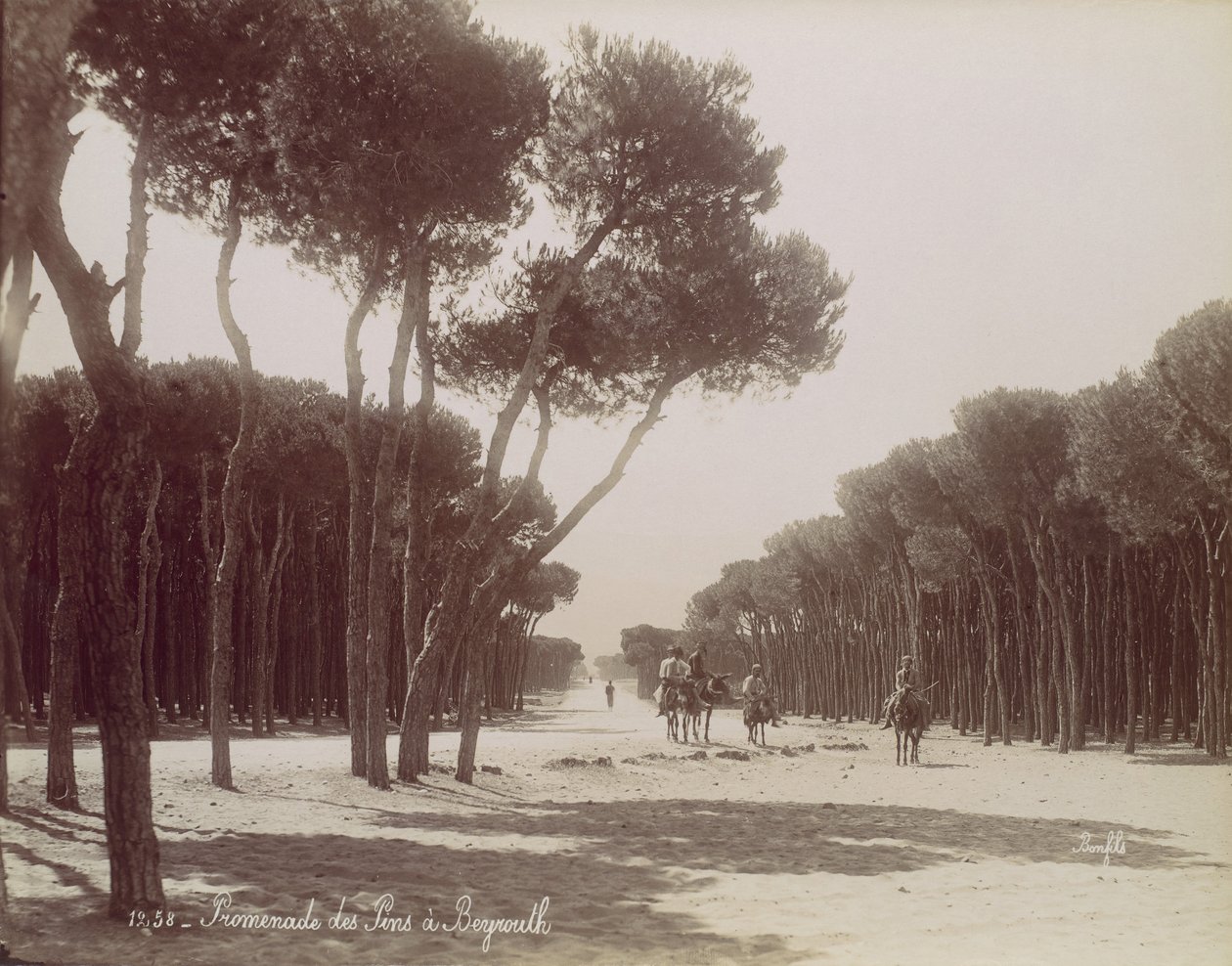 Promenade des Pins em Beirute, ca. 1870. de Félix Bonfils