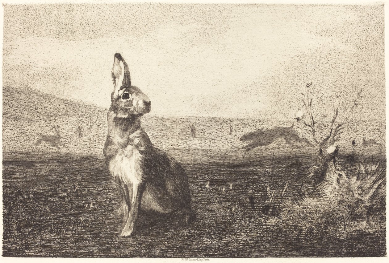 A lebre de Félix Bracquemond after Albert de Balleroy