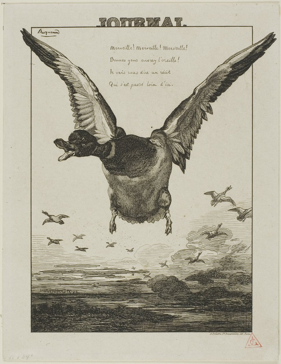 O Pato de Félix Henri Bracquemond
