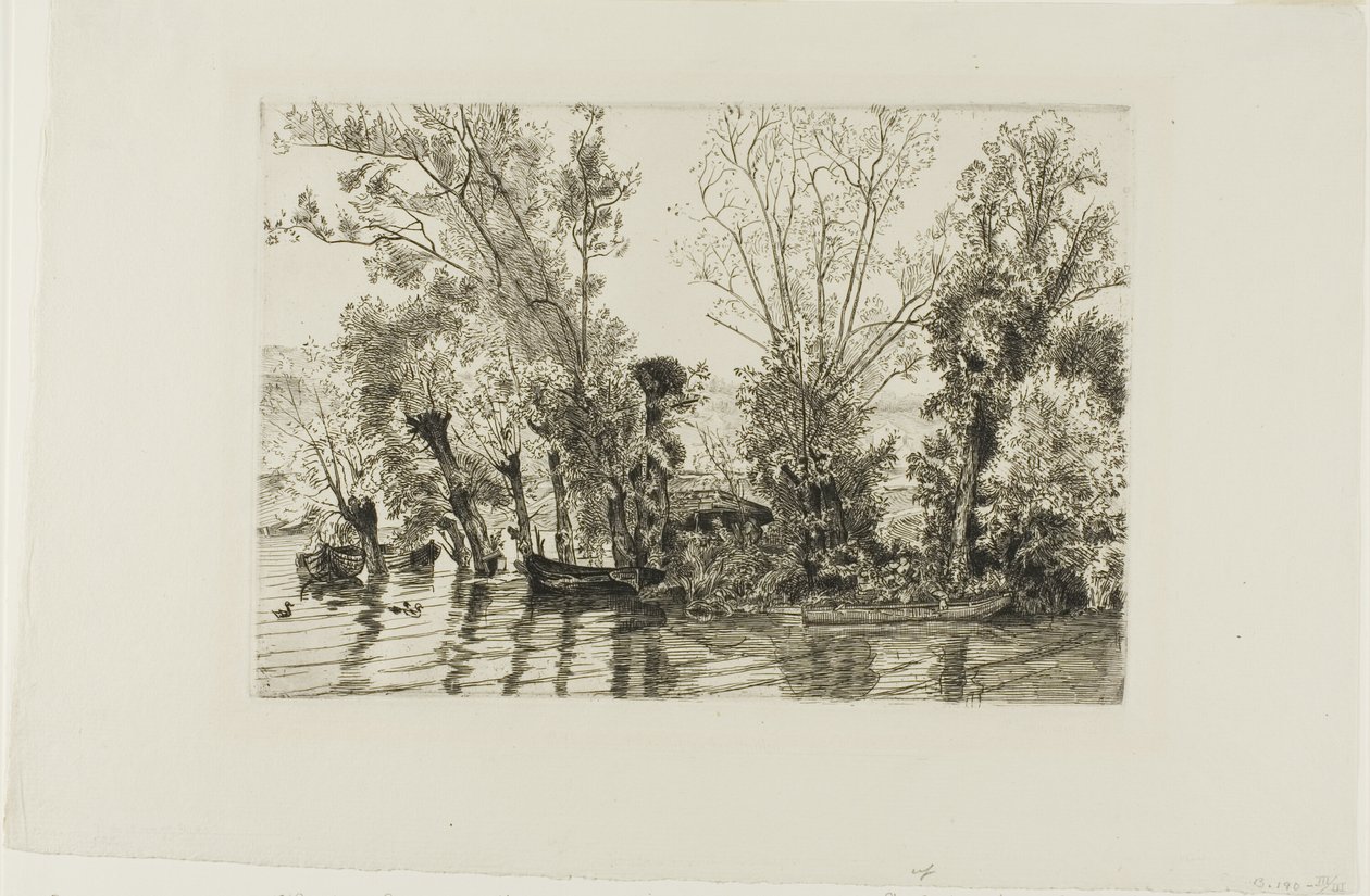 Os Salgueiros de Mottiaux de Félix Henri Bracquemond