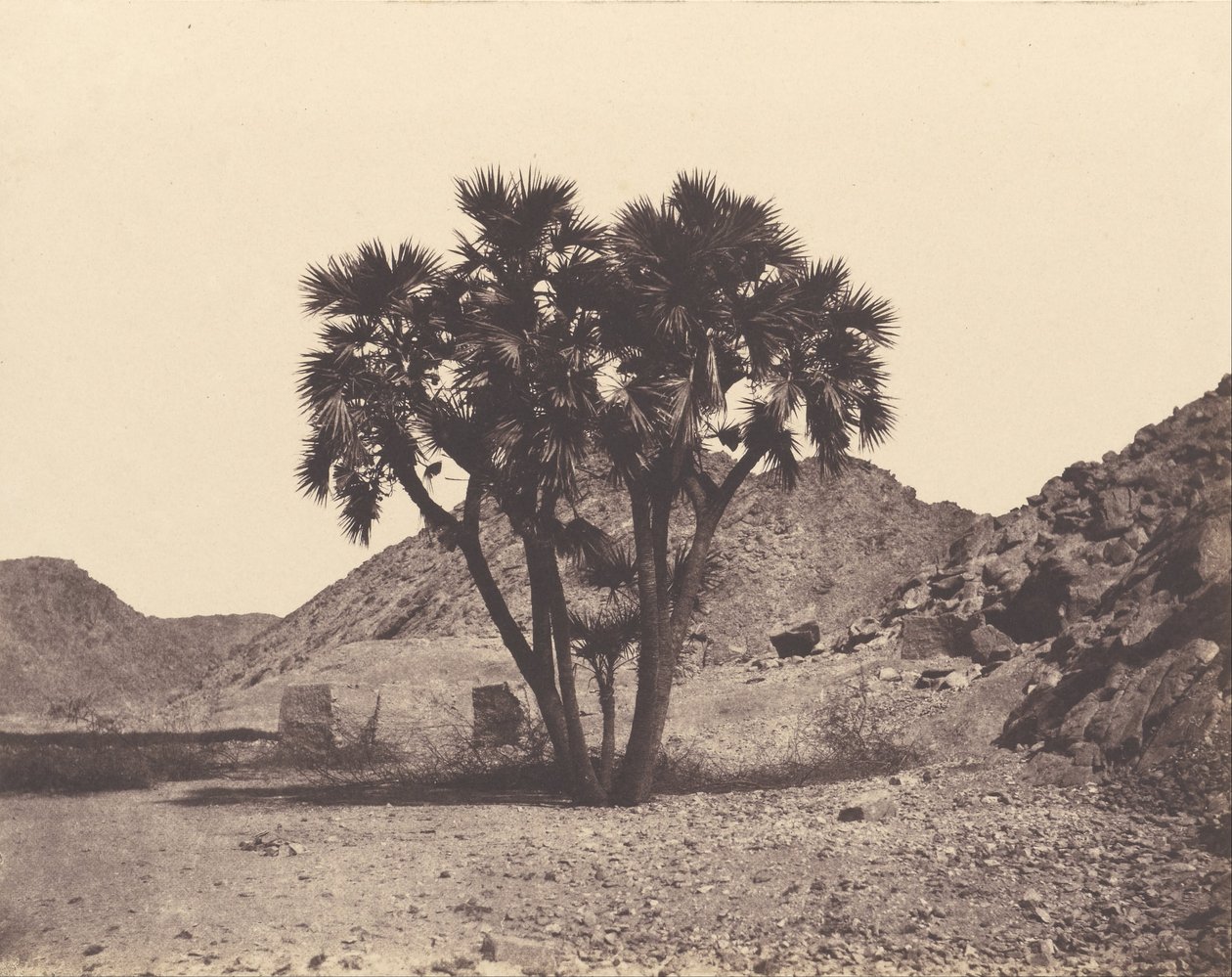 Egito e Núbia. Locais e monumentos ... Atlas Fotógrafo ... Parte Dois. Núbia de Félix Teynard