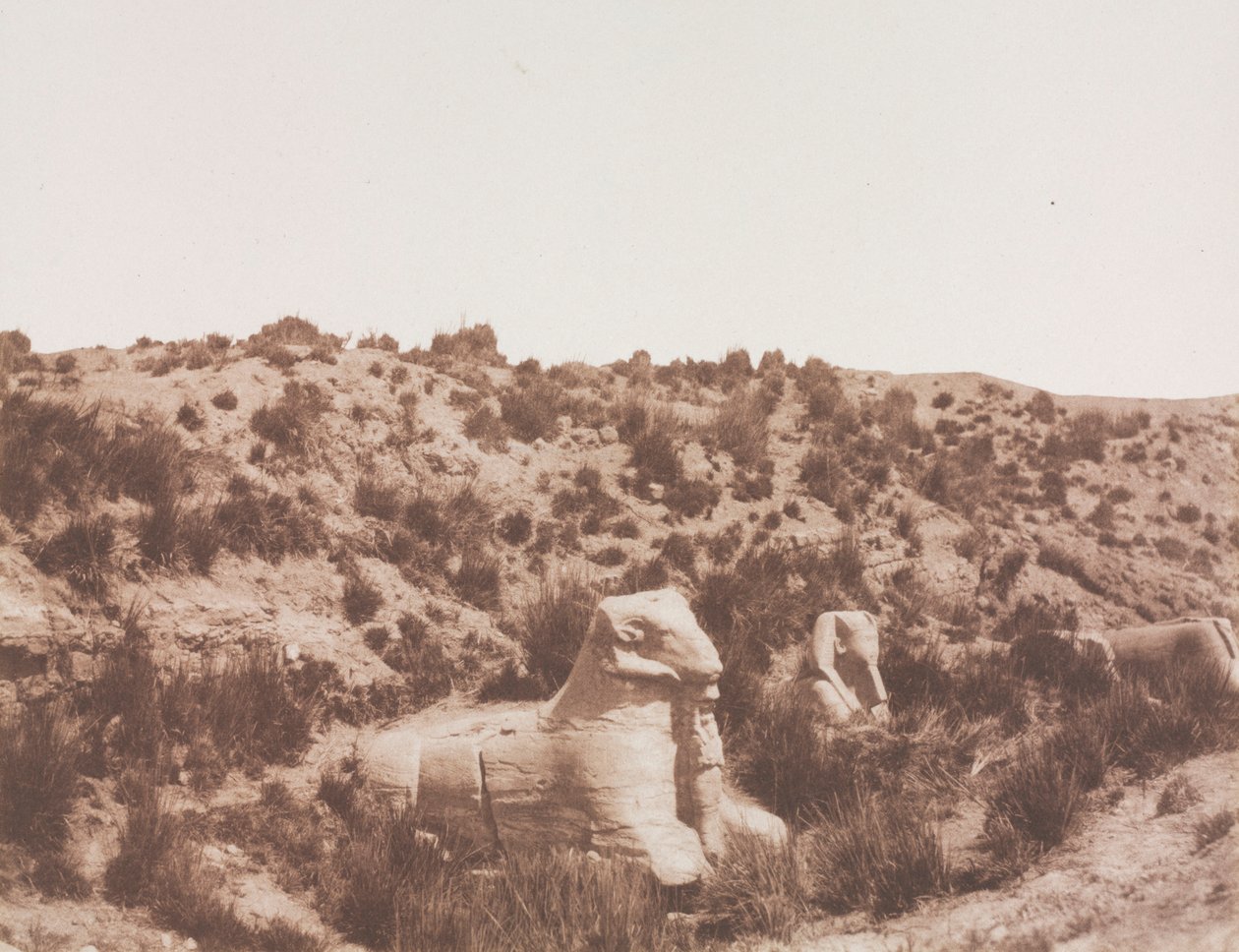 Esfinges com cabeça humana e cabeça de carneiro no ponto Y. Karnak Tebas, 1851-1852. de Félix Teynard