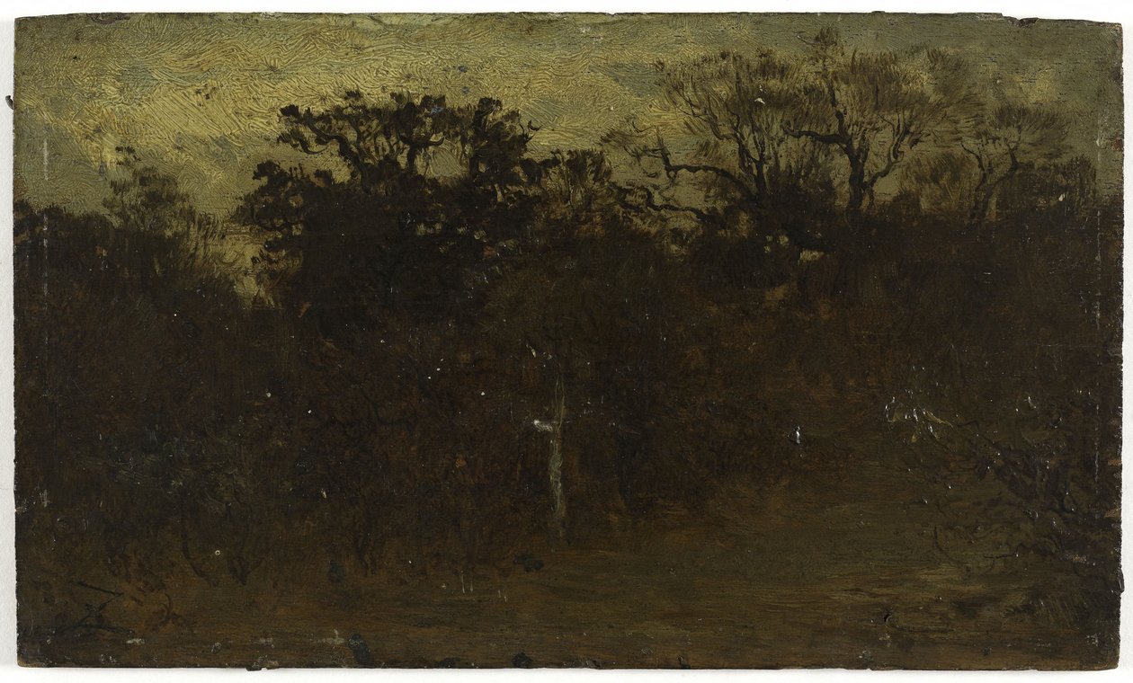 Canto de floresta, entre 1850 e 1860 (óleo sobre madeira) de Félix Ziem