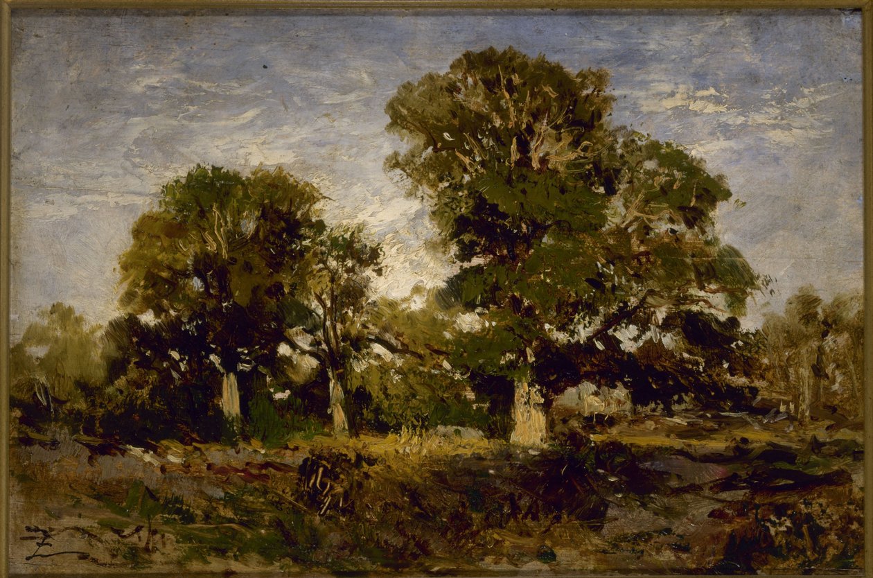Os carvalhos, entre 1850 e 1860 (óleo sobre madeira) de Félix Ziem
