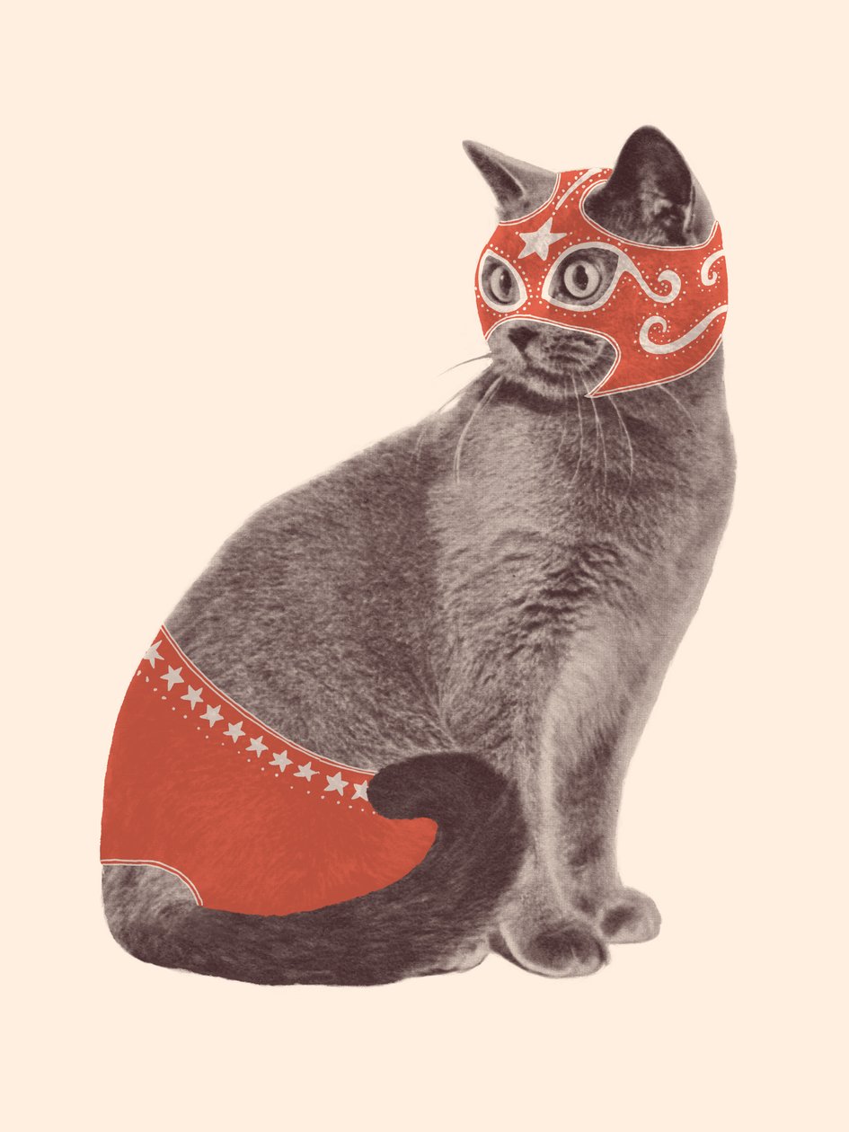 Lutador de gatos de Florent Bodart