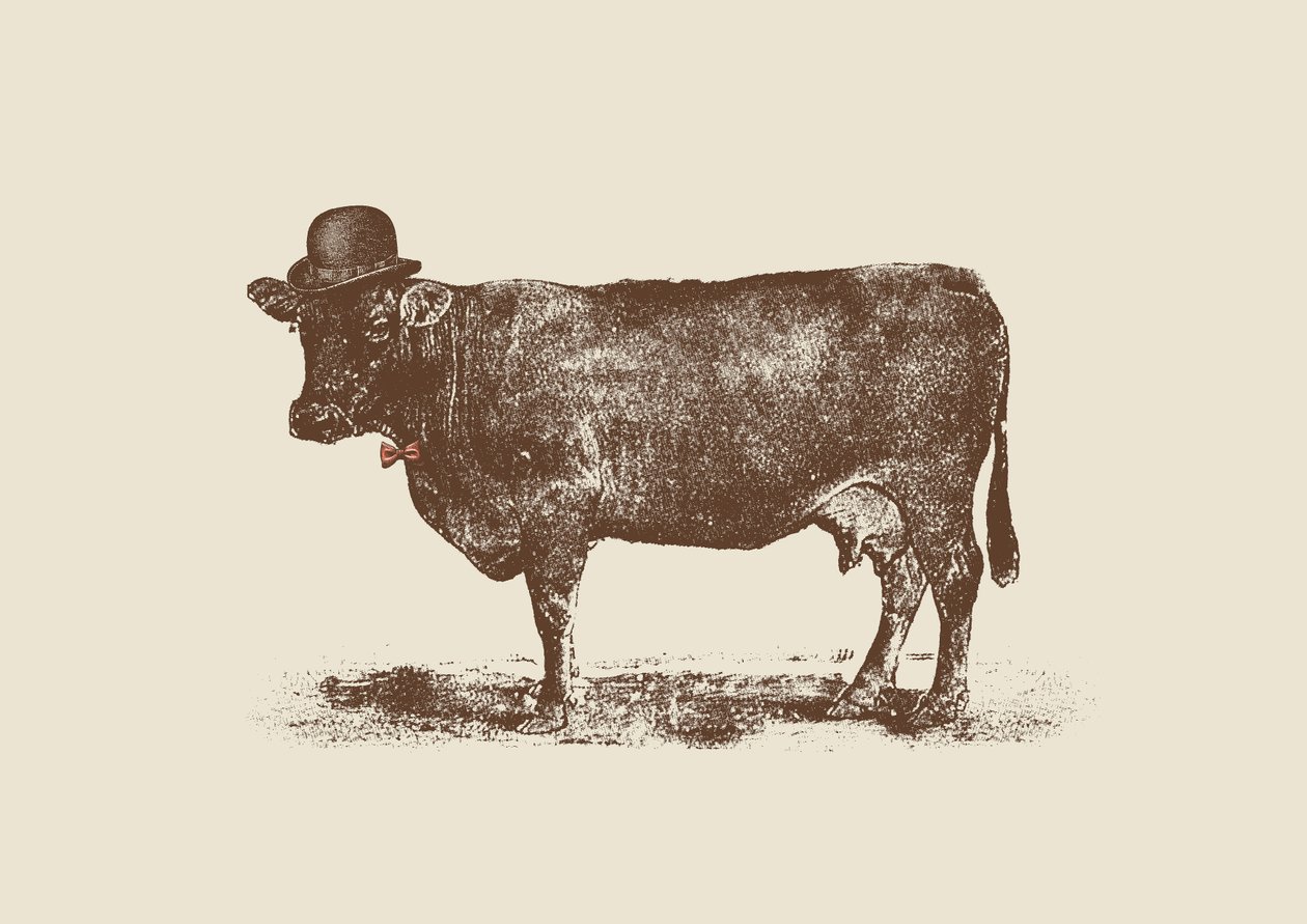 Porca de vaca de Florent Bodart