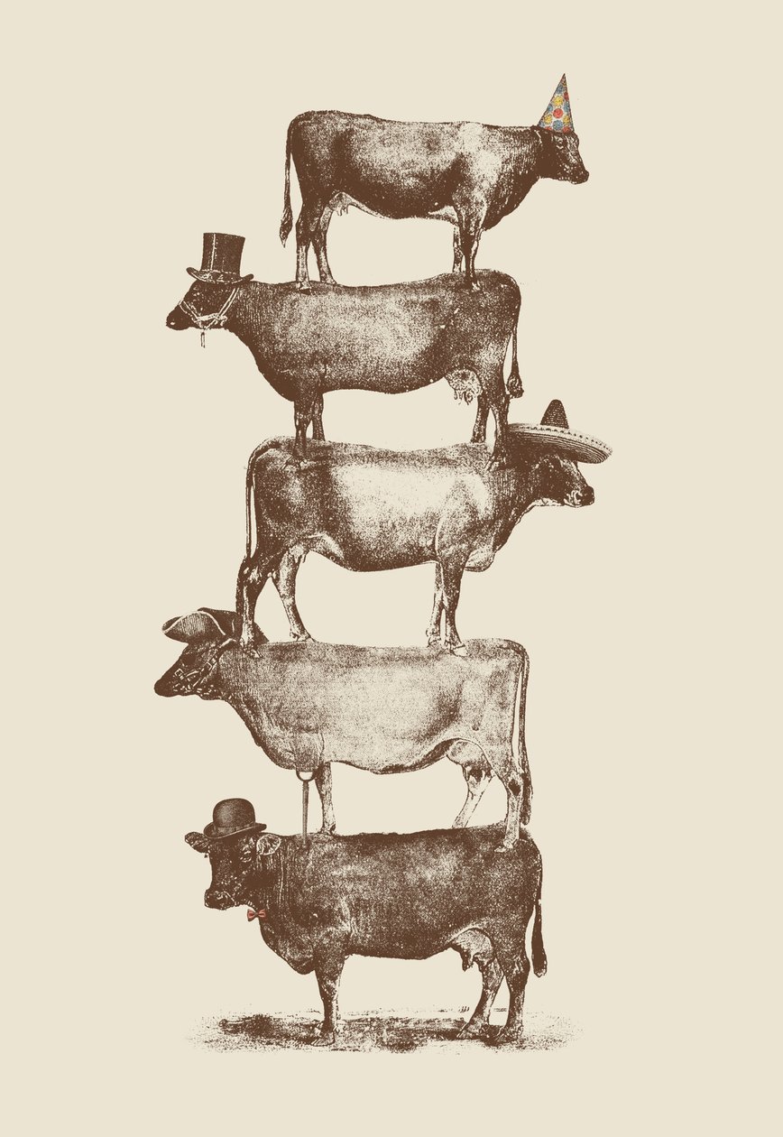 Nozes de Vaca de Florent Bodart