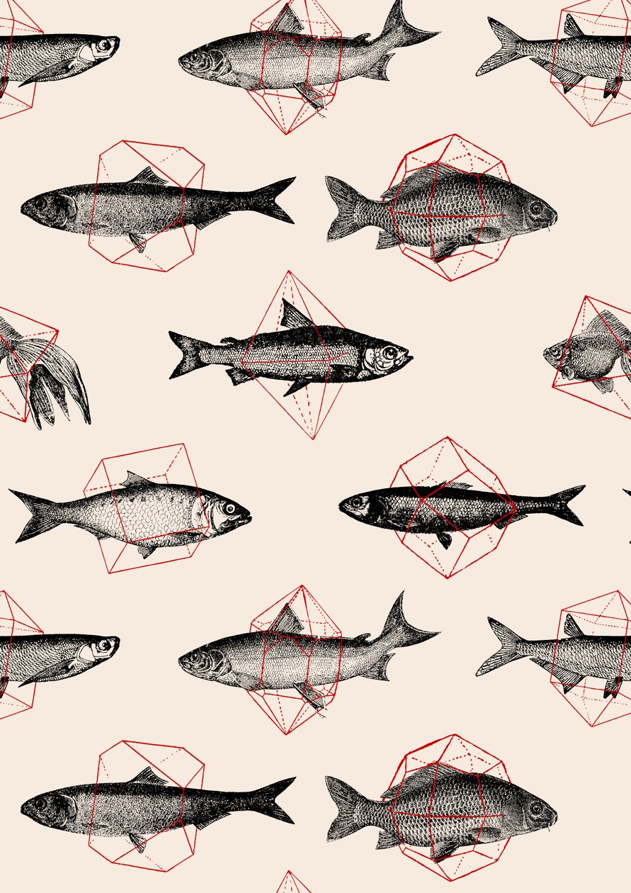 Peixes em Geometria de Florent Bodart