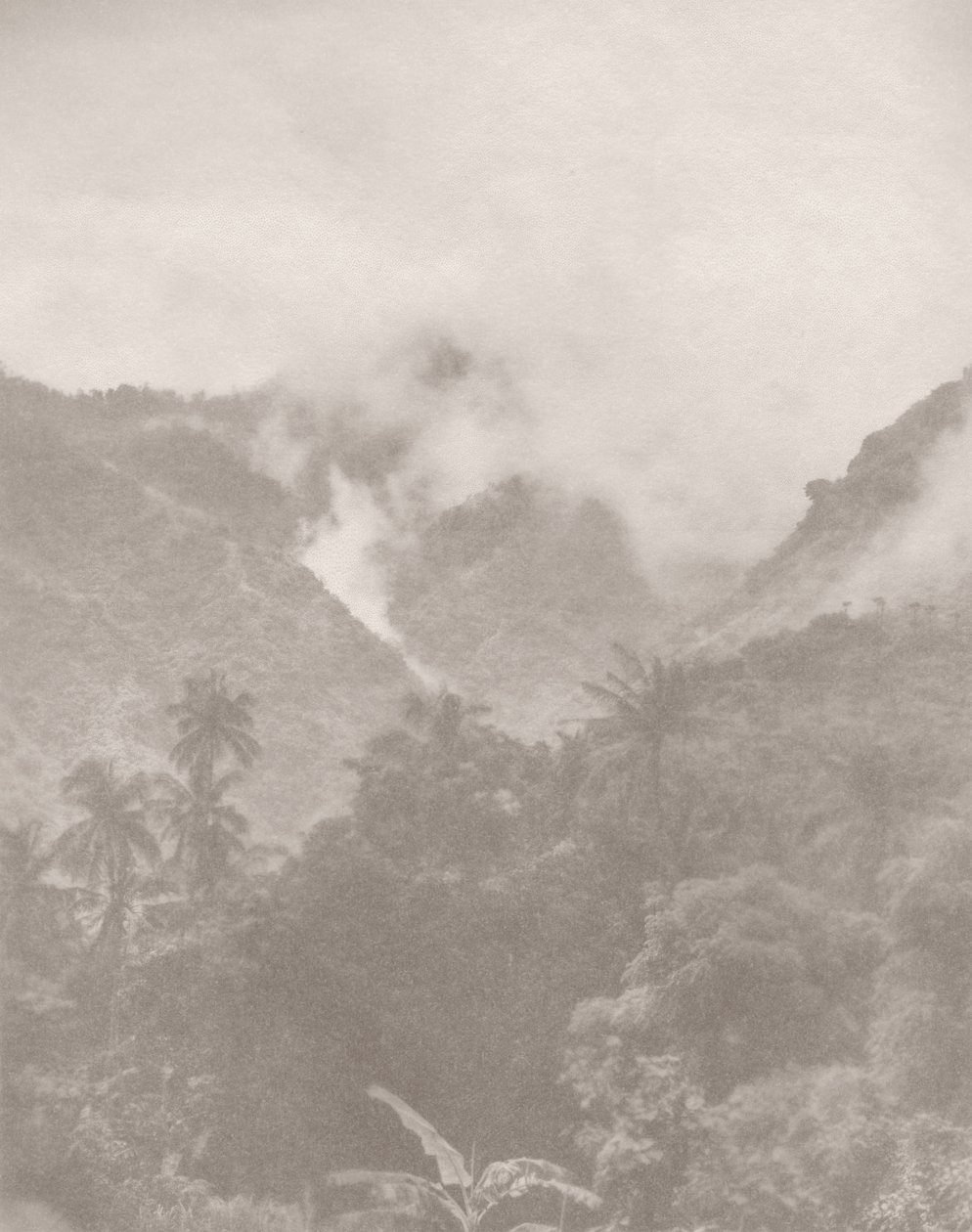 Foggy Jungle 3, 2024 (foto) de Florent Bodart