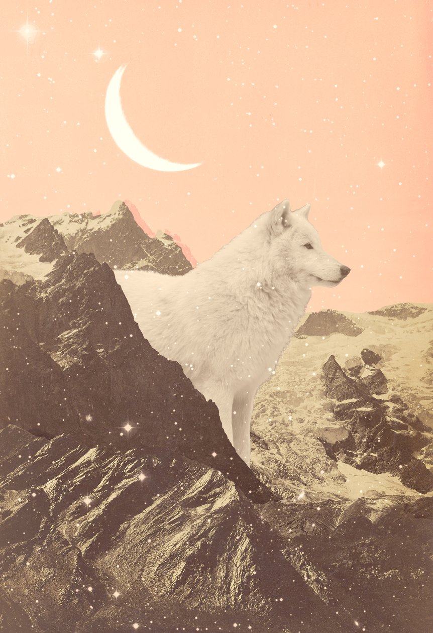 Lobo Gigante em Pink Mountains, 2021 (colagem) de Florent Bodart