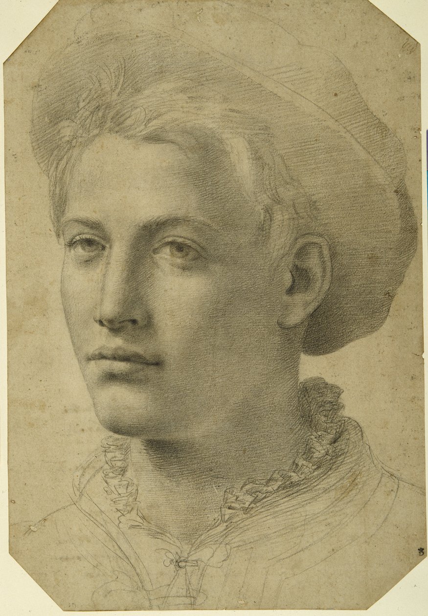 Cabeça de retrato de um jovem usando boné, c.1530-40 (giz preto sobre papel branco) de Florentine School