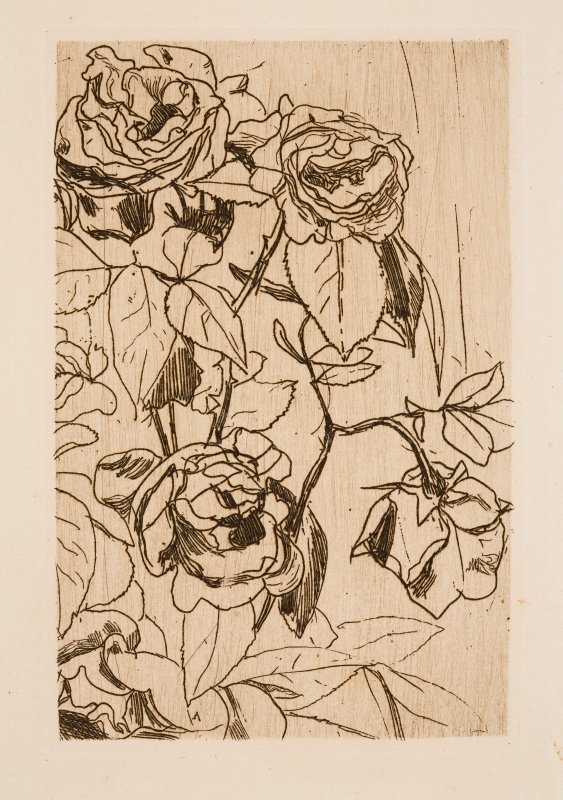 Estudo de rosas de Floris Verster