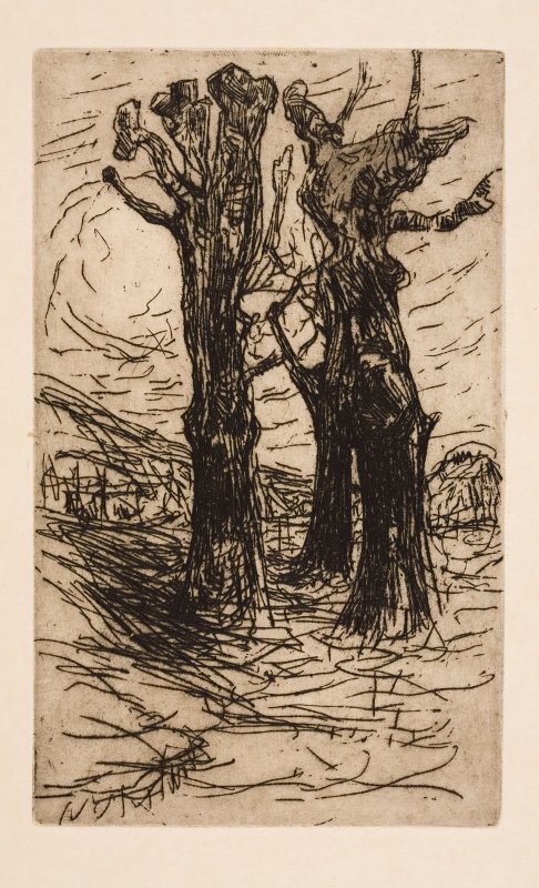 Dois castanheiros de Floris Verster