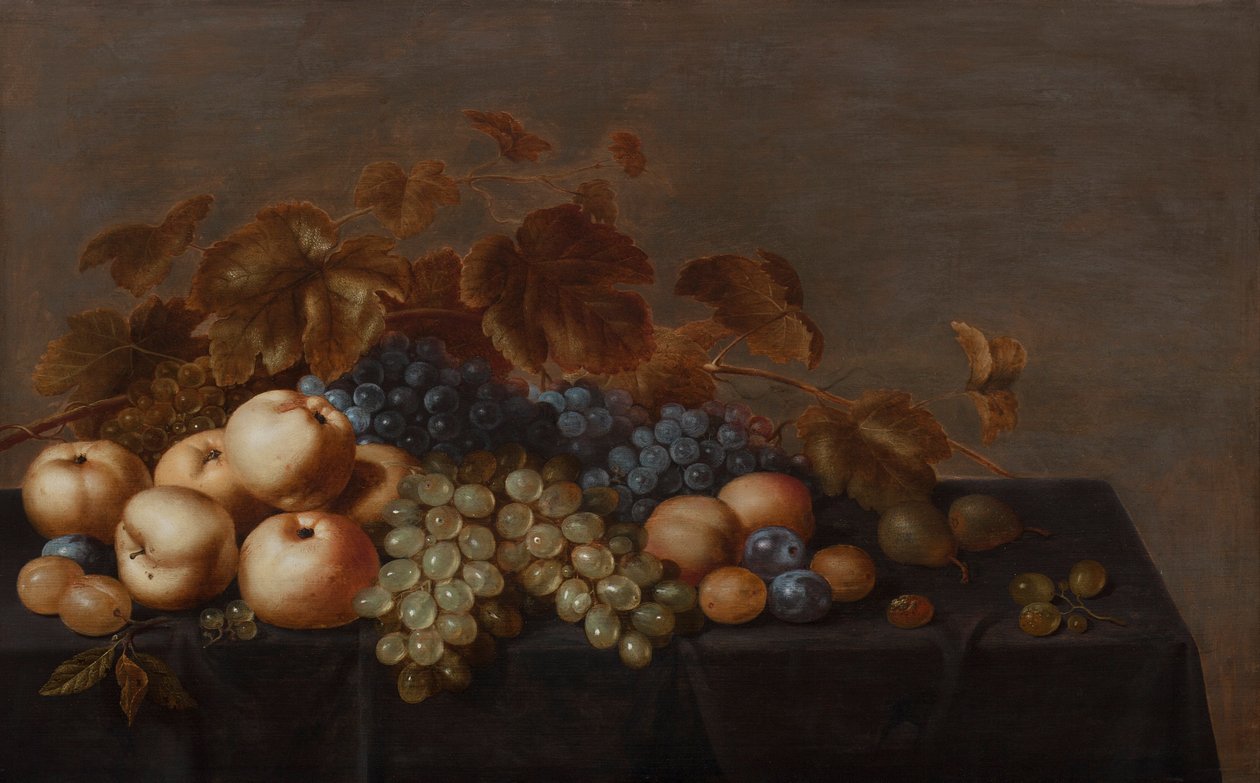 Ainda vida de frutas sobre uma mesa drapeado com um pano escuro: ameixas, maçãs, cachos de uvas de preto e branco e peras de Floris Gerritsz van Schooten