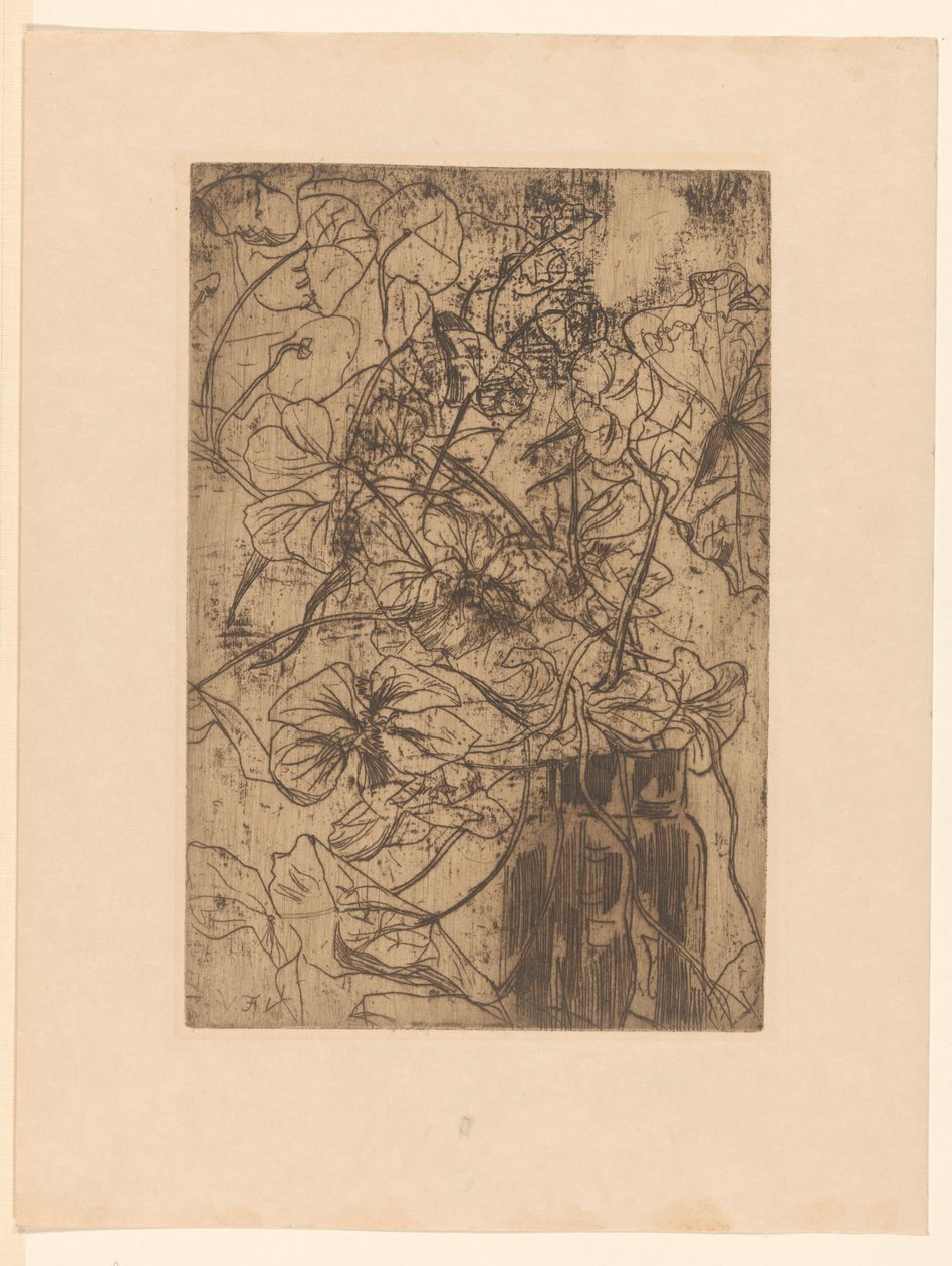 vaso de flores Chagas (título original) de Floris Verster