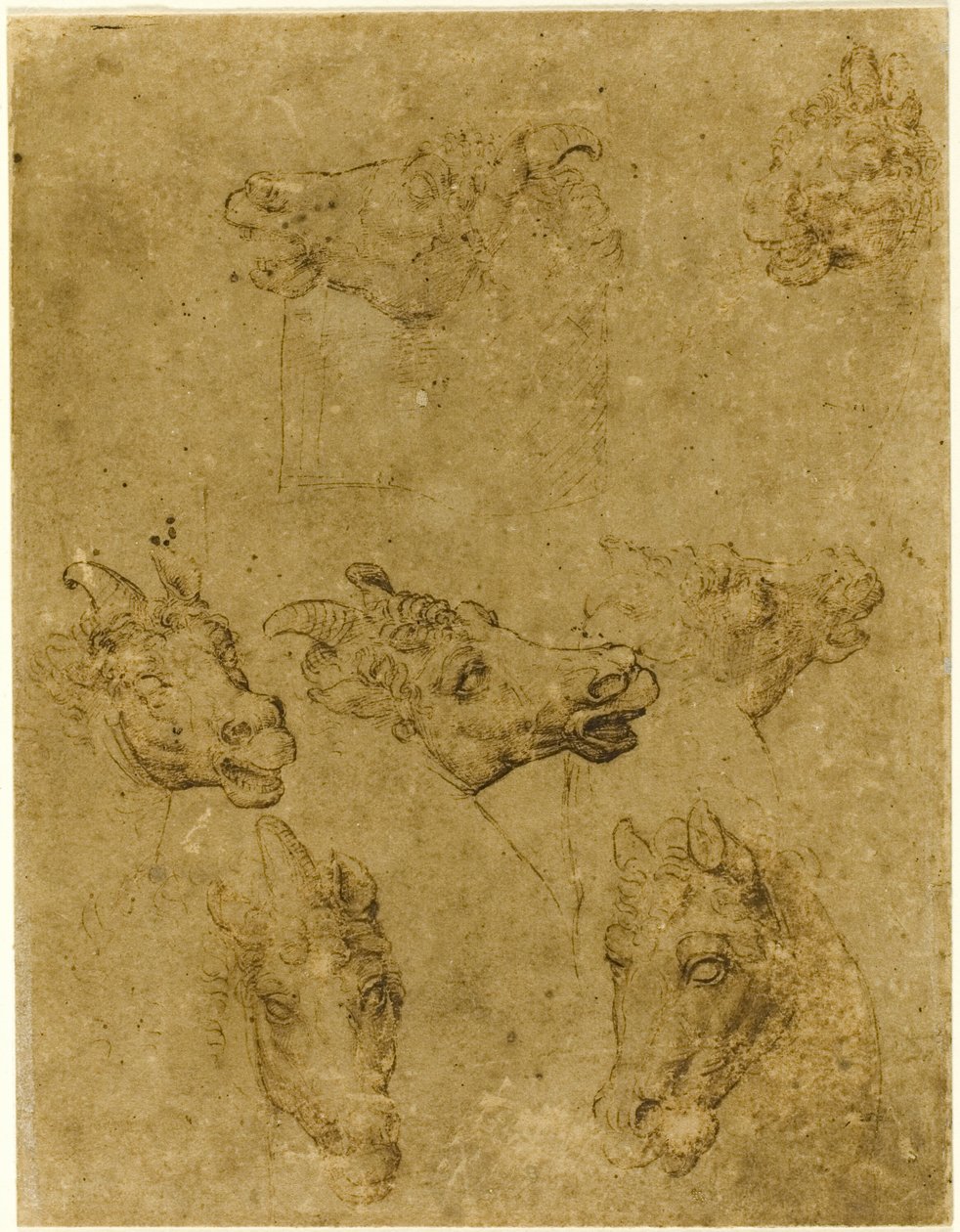 Cabeças de cavalos e unicórnios de Follower of Leonardo da Vinci