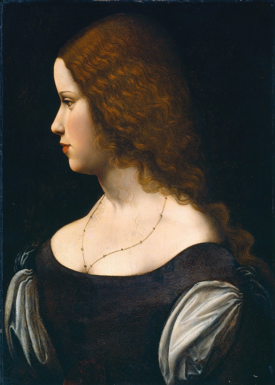 Retrato de uma jovem senhora de Follower of Leonardo da Vinci