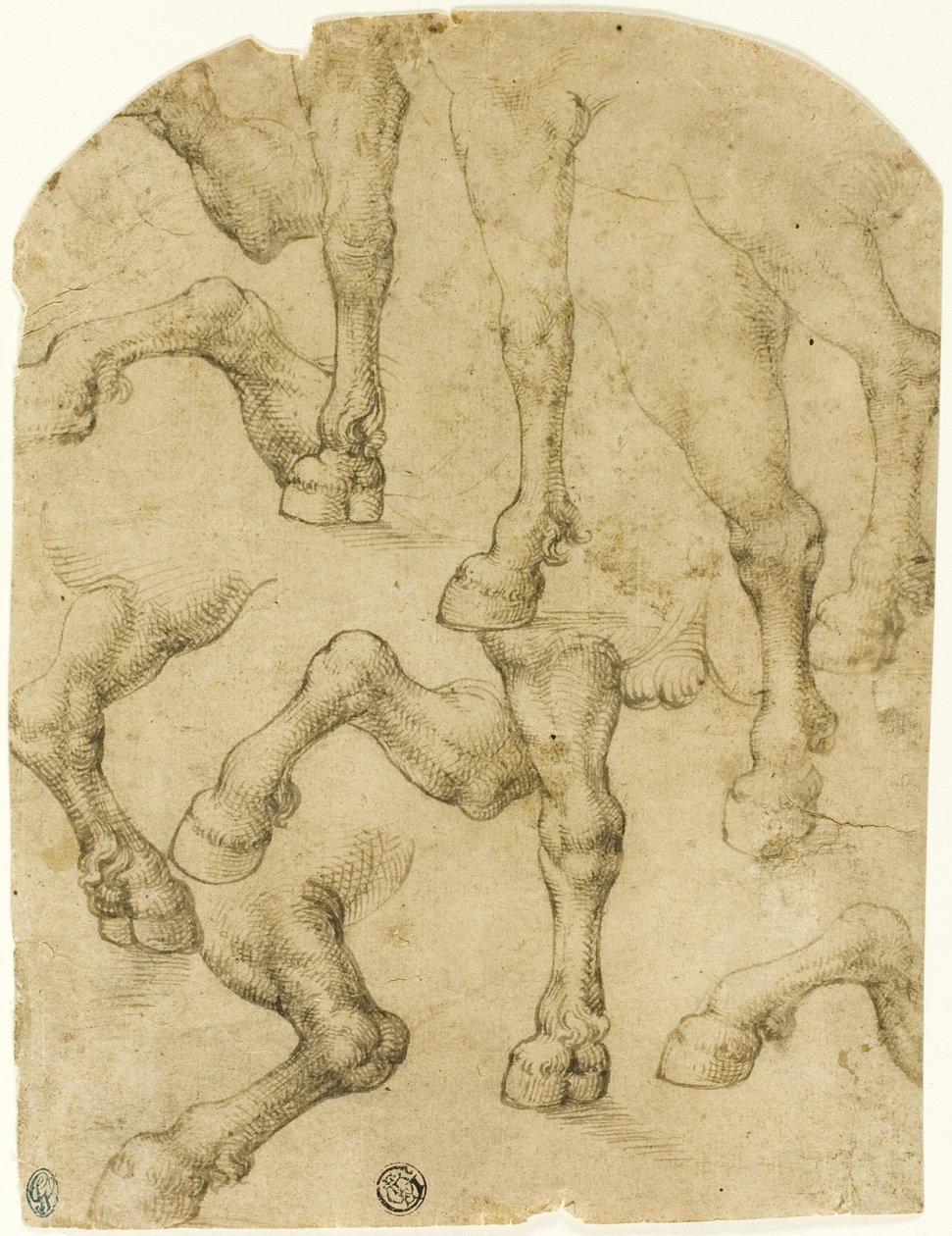 Esboços de patas de cavalos (ou dromedários) (frente); colunas (verso) de Follower of Leonardo da Vinci