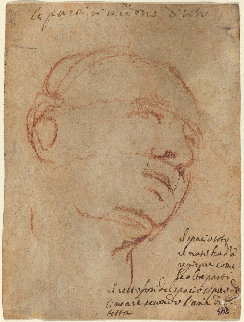 Cabeça de um homem de Follower of Michelangelo