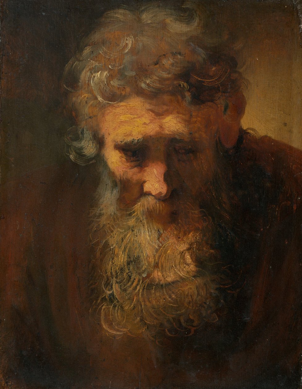 Estudo de um velho de Follower of Rembrandt van Rijn
