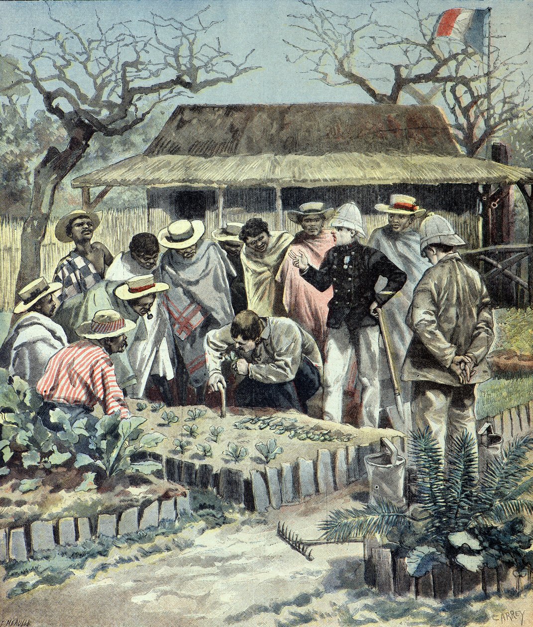 Os franceses dão aulas de agricultura aos indígenas em Madagáscar em 1897 (Gravura) de Fortune Louis Meaulle