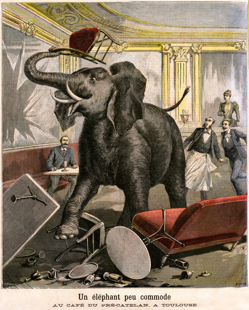 Um elefante desconfortável: o pachiderm foge de um circo menagerie quebra tudo no café do Pré-Catelan em Toulouse. Gravura de Meaulle e Meyer na última capa do suplemento PETIT JOURNAL ilustrado n 51 de 14 de Novembro de Fortune Louis and Meyer Henri  Meaulle