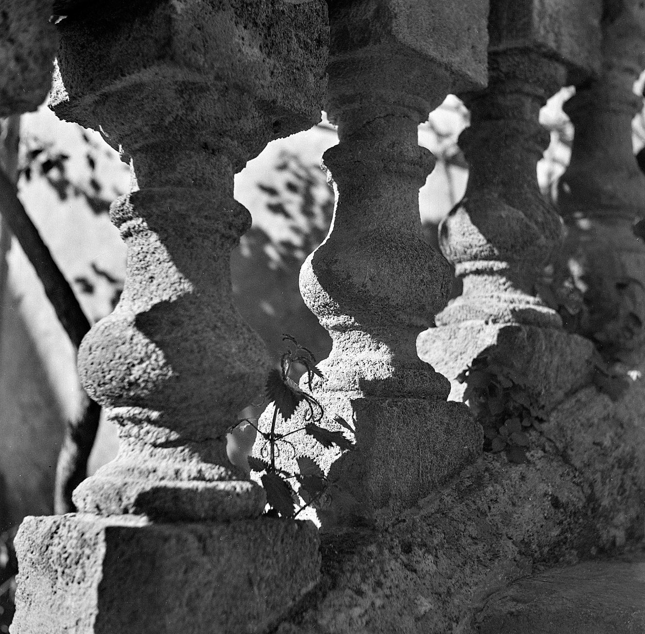 Pormenor de uma balaustrada na Villa Bonocore Maletto Palermo de Fosco Maraini