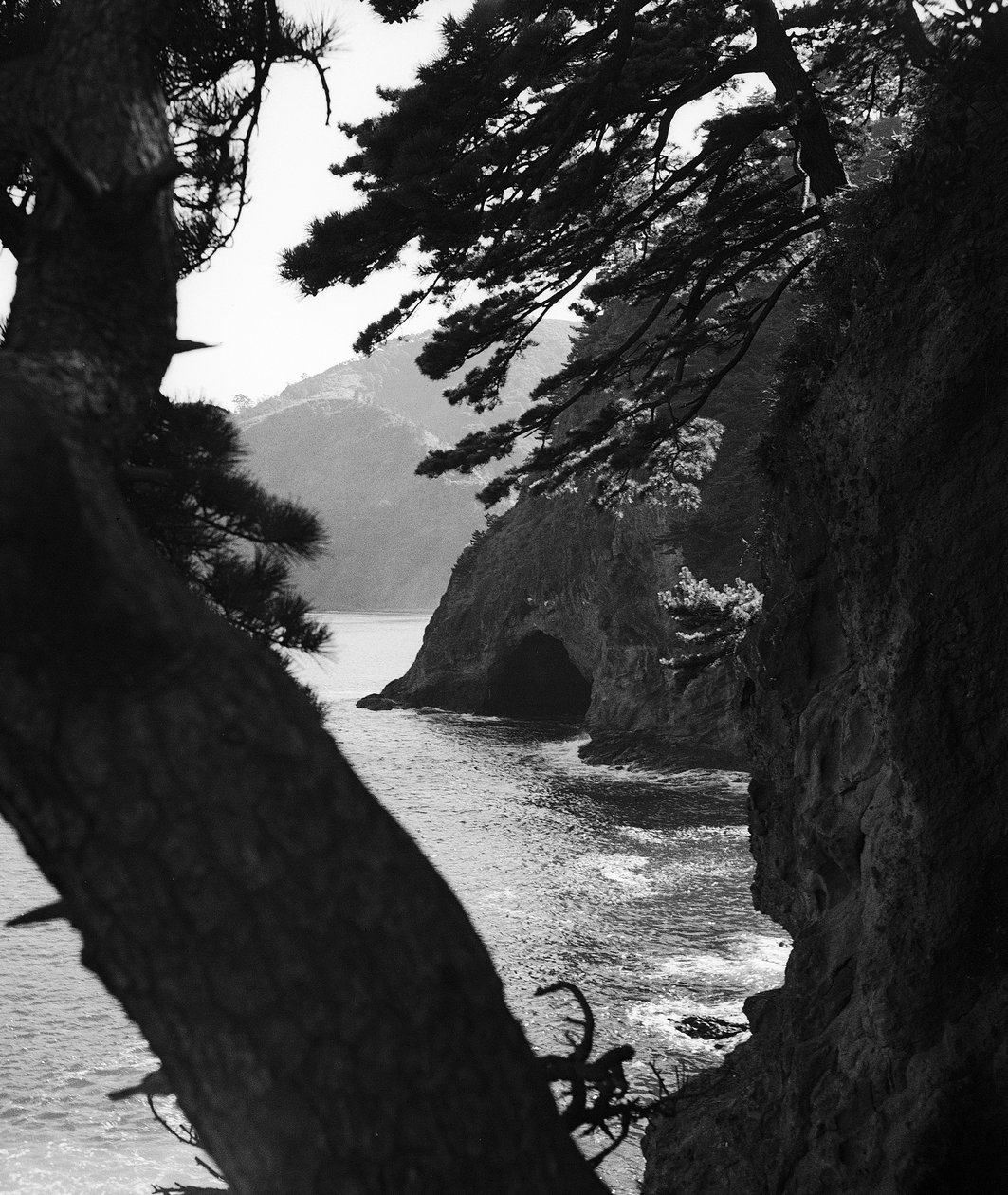 Costa japonesa no Pacífico perto de Atami de Fosco Maraini