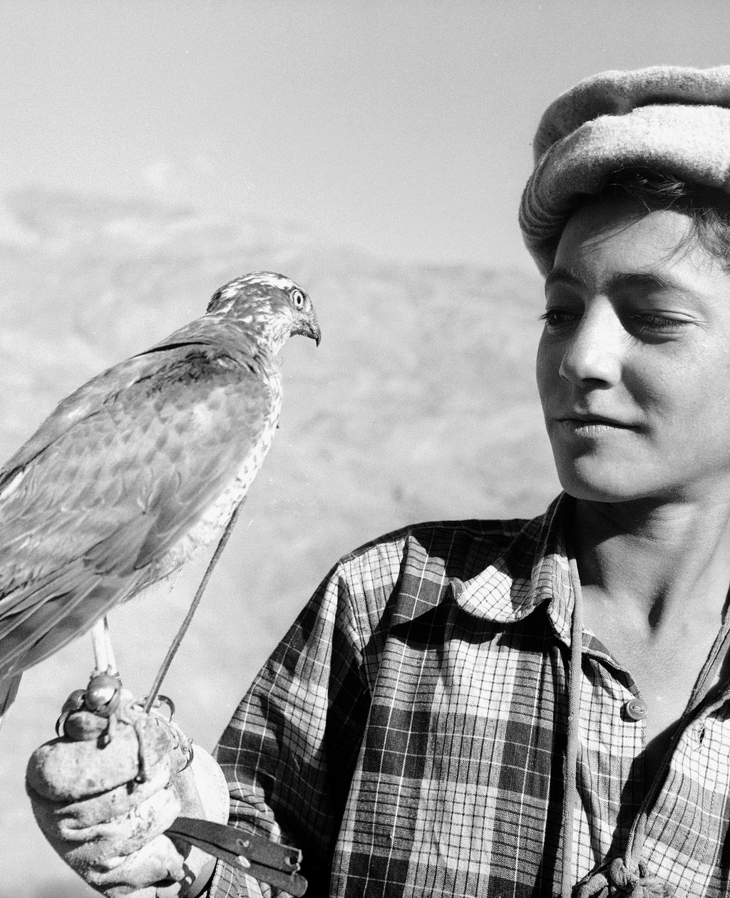 Jovem falcoeiro de Chitral no Hindu-Kush, uma montanha na Ásia Central de Fosco Maraini