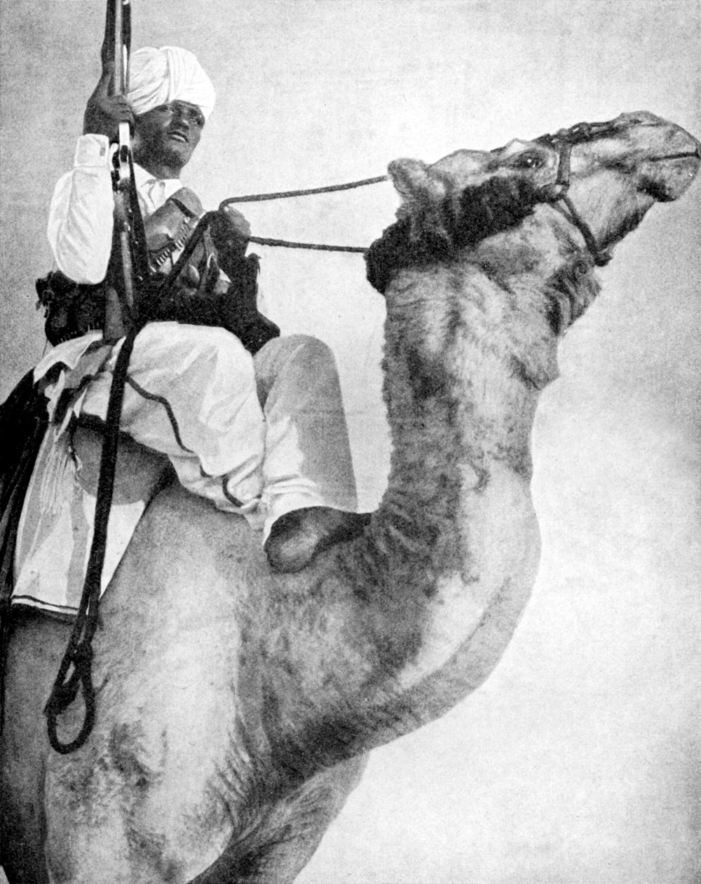 Guerreiro do deserto da África, 1936. de Fox Photos