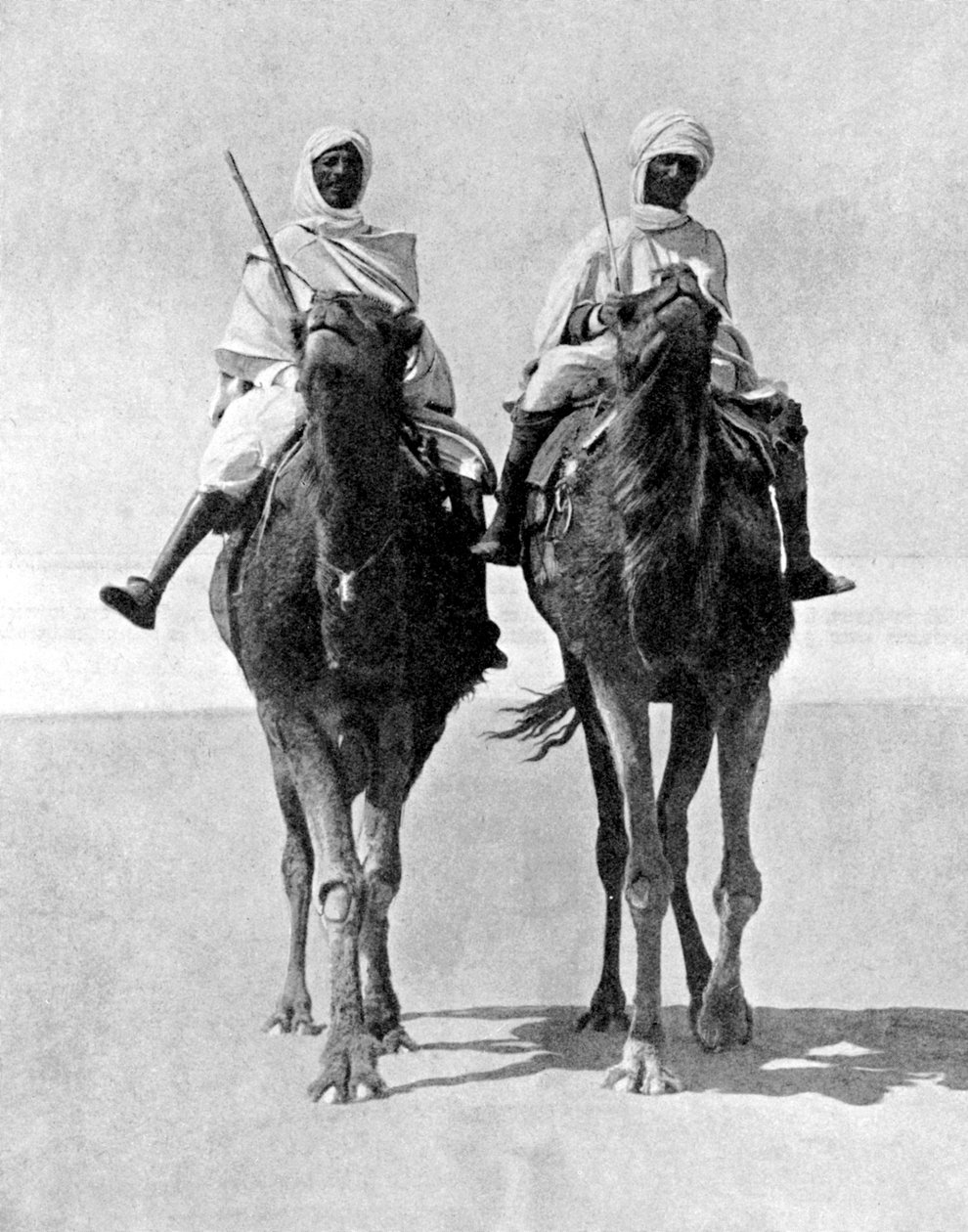 Dois árabes montando camelos no deserto do Saara, na África, 1936. de Fox Photos