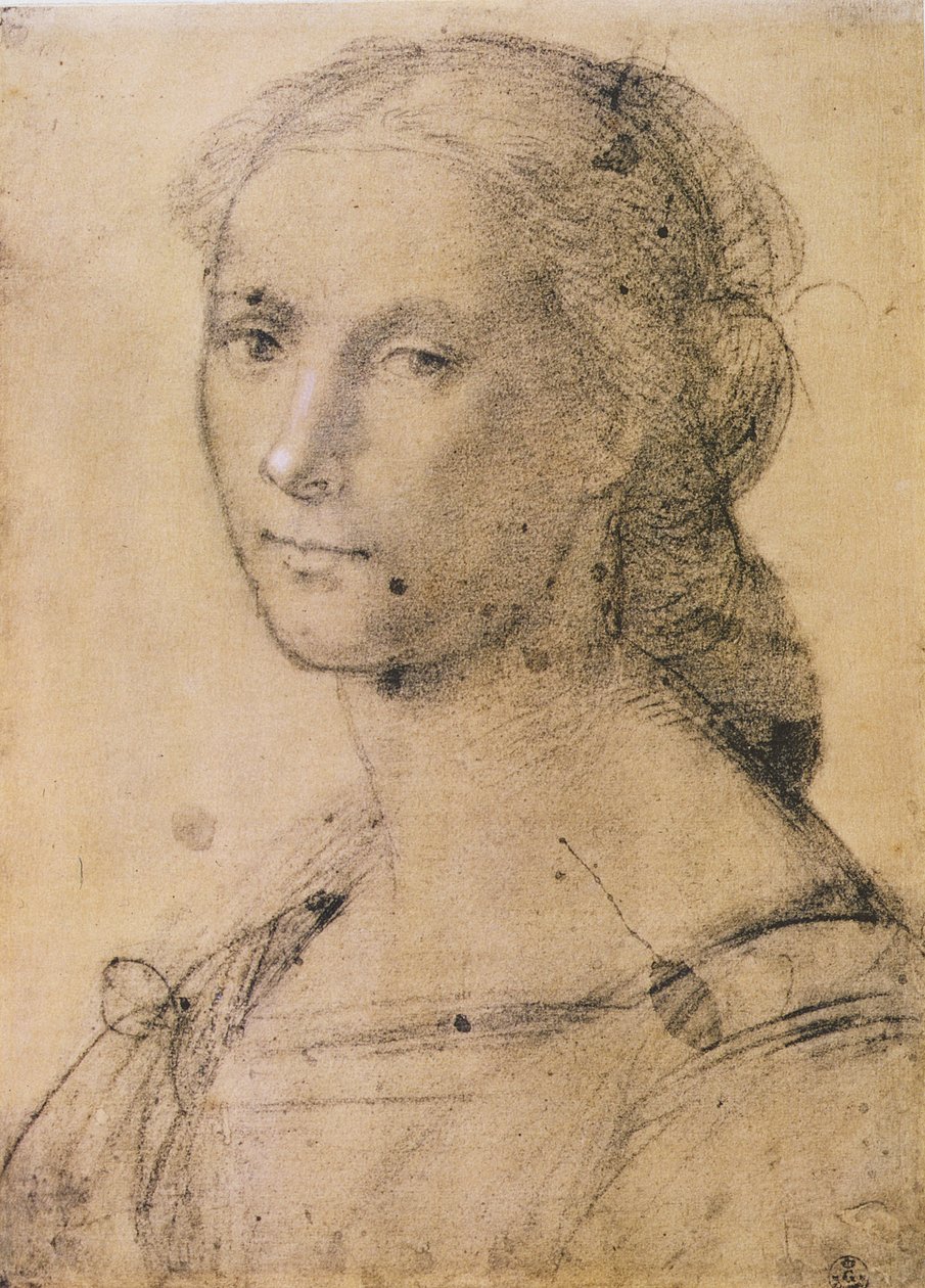 Retrato de uma jovem mulher (giz no papel) de Fra Bartolommeo