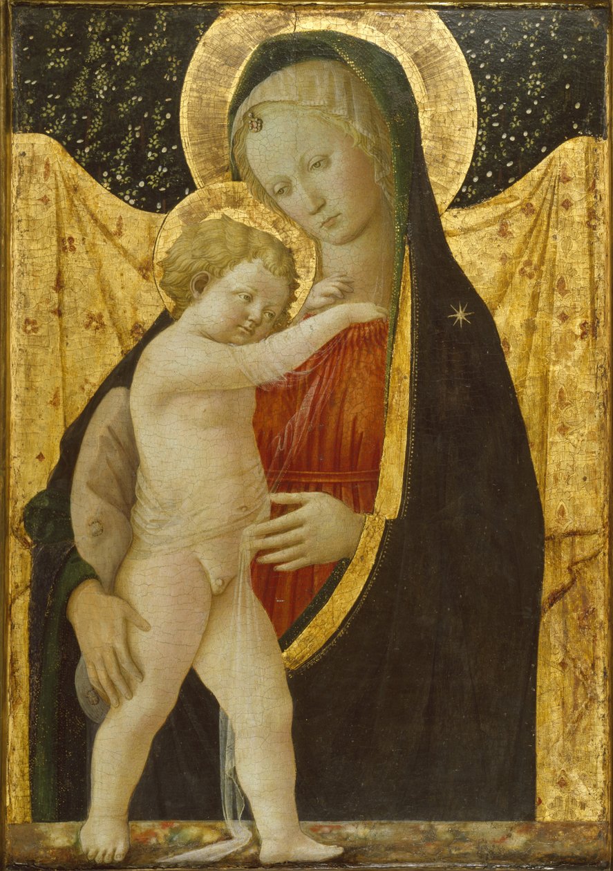 Madonna and Child, c.1446-47 (têmpera e ouro no painel) de Fra Filippo Lippi