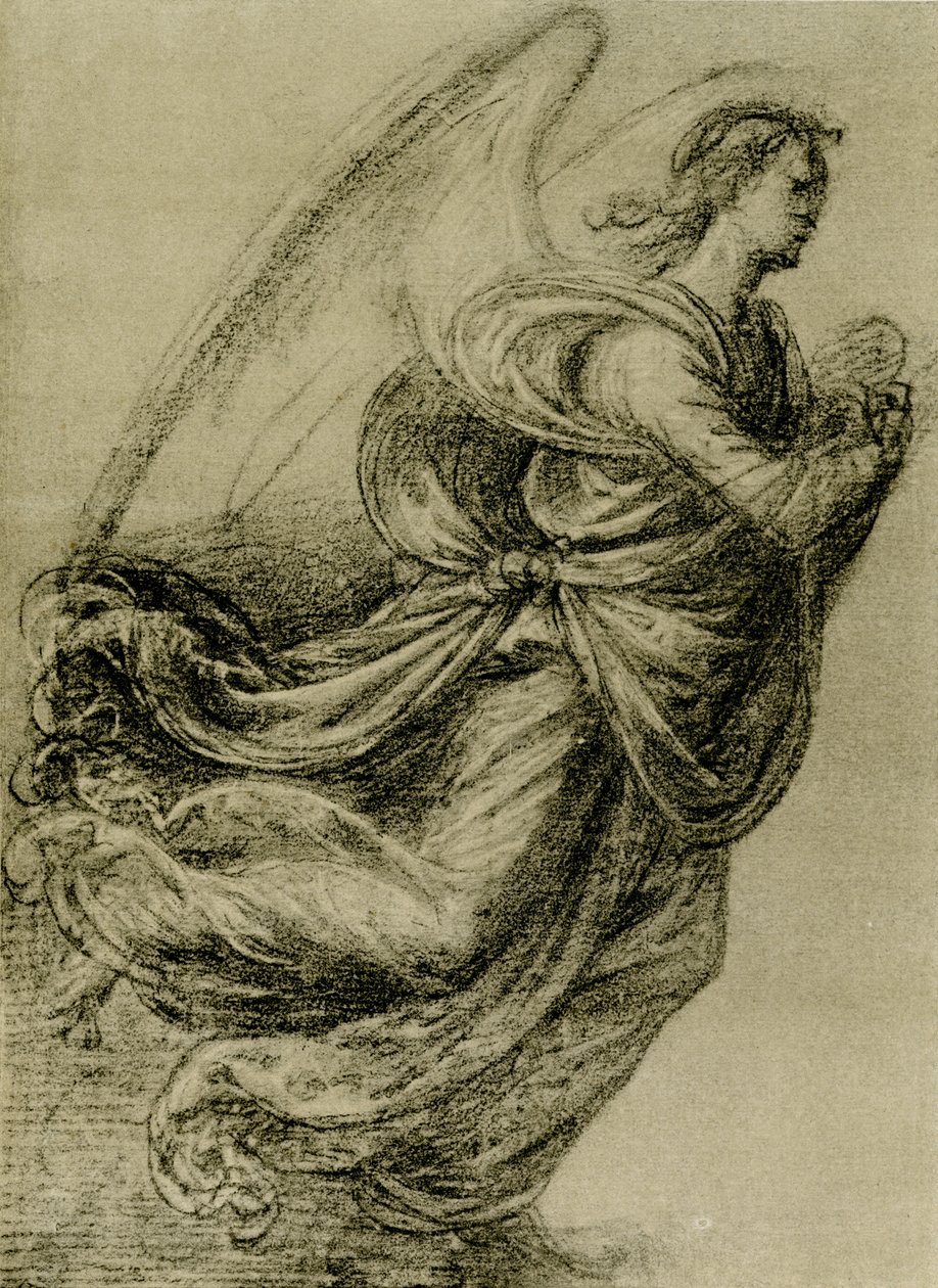 Estudo anjo de Fra Bartolomeo