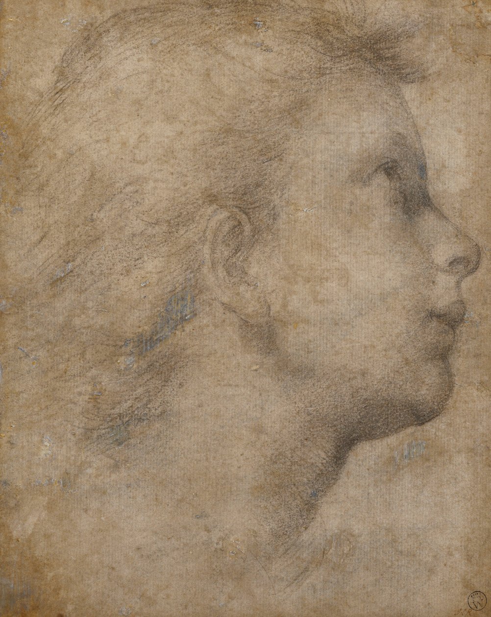 Cabeça de um anjo no perfil, olhando para a direita, de Fra Bartolomeo
