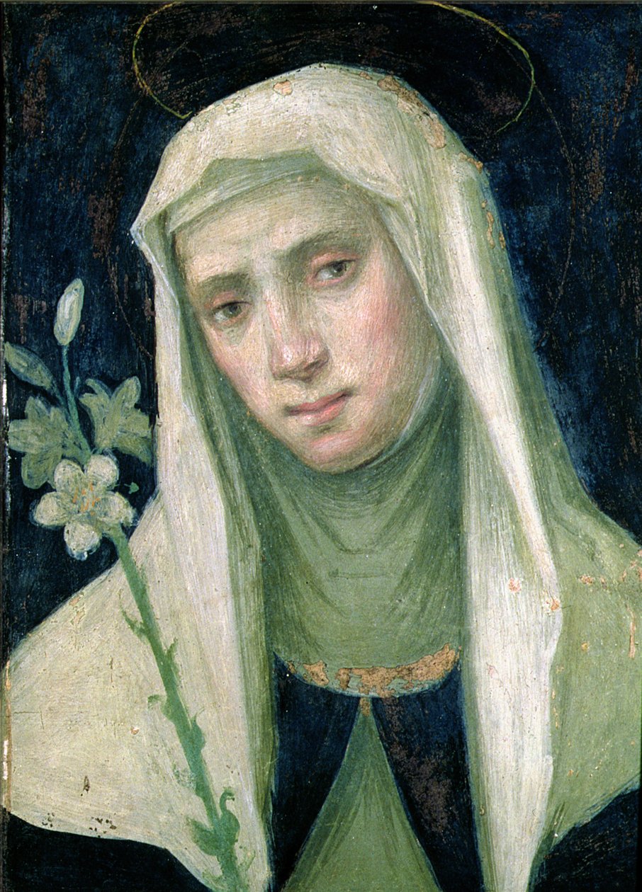 Santa Catarina de Siena (1347-80) (têmpera no painel) de Fra Bartolommeo