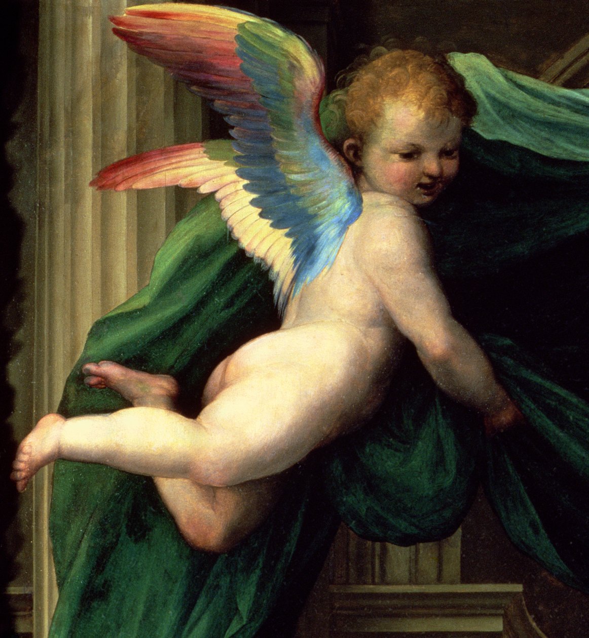 O casamento místico de Santa Catarina de Siena com Santos, detalhe de um anjo, 1511 óleo no detalhe do painel de 93870 de Fra Bartolommeo