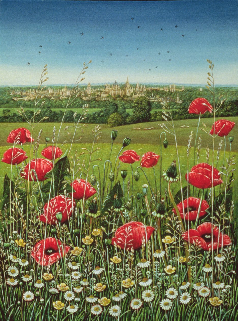 Oxford Poppies, 1983 (óleo e têmpera no painel) de Frances Broomfield