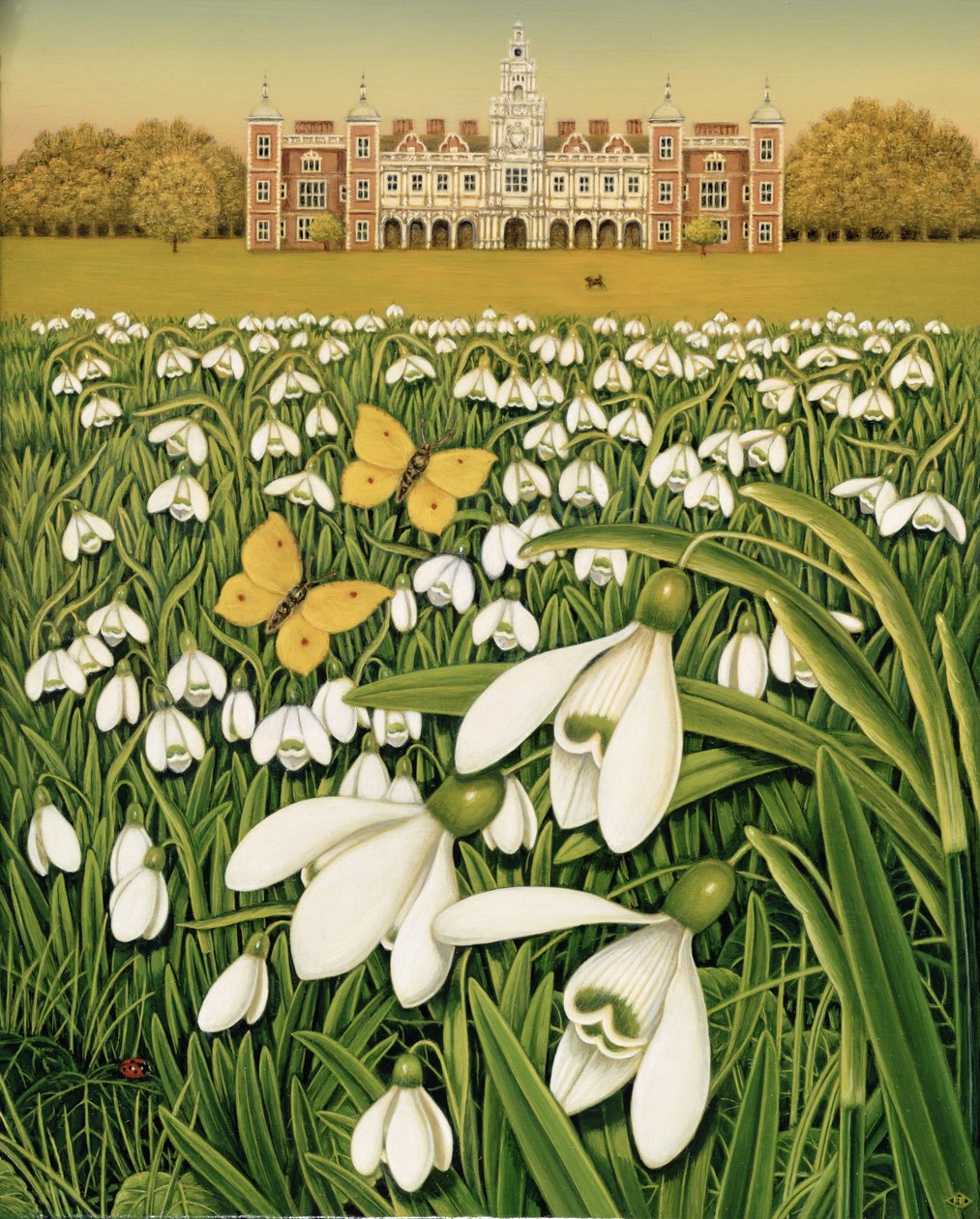 Snowdrop Day, Hatfield House, 1999 (óleo e têmpera no campo) de Frances Broomfield