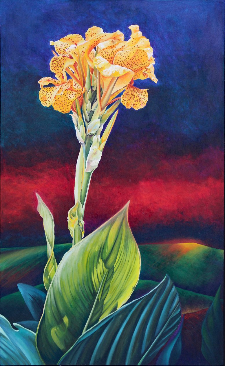 Nenúfar Amarelo Canna Lily de Frances Ferdinands