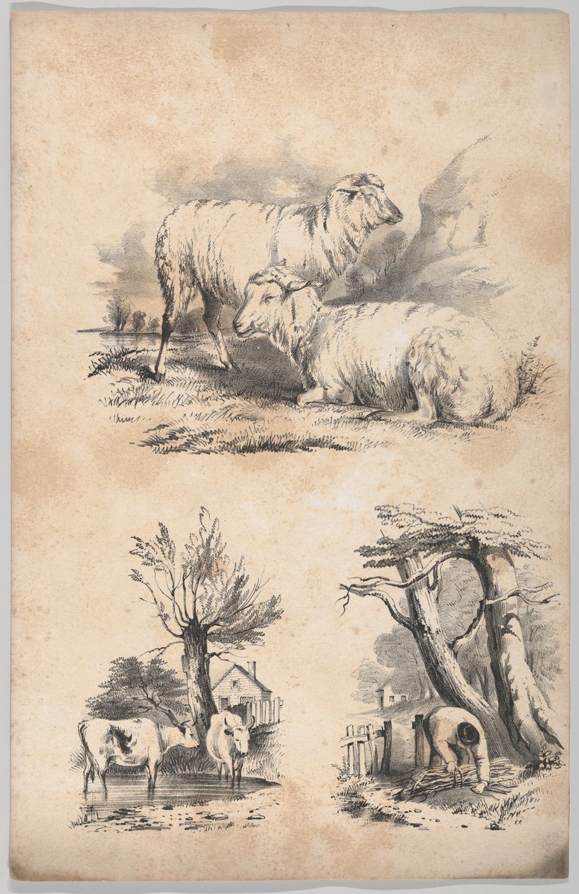 Vinheta com duas ovelhas, Vinheta com duas vacas na piscina e Vinheta de um lenhador..., 1847. de Frances Flora Bond Palmer