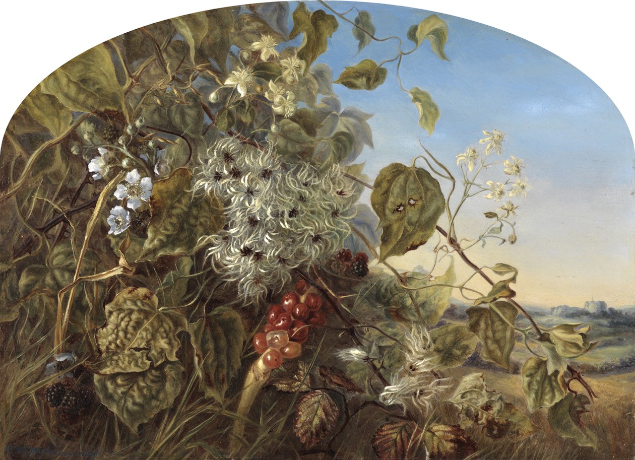 Um outono Hedgerow perto de Carisbrooke, 1864 de Frances Minns