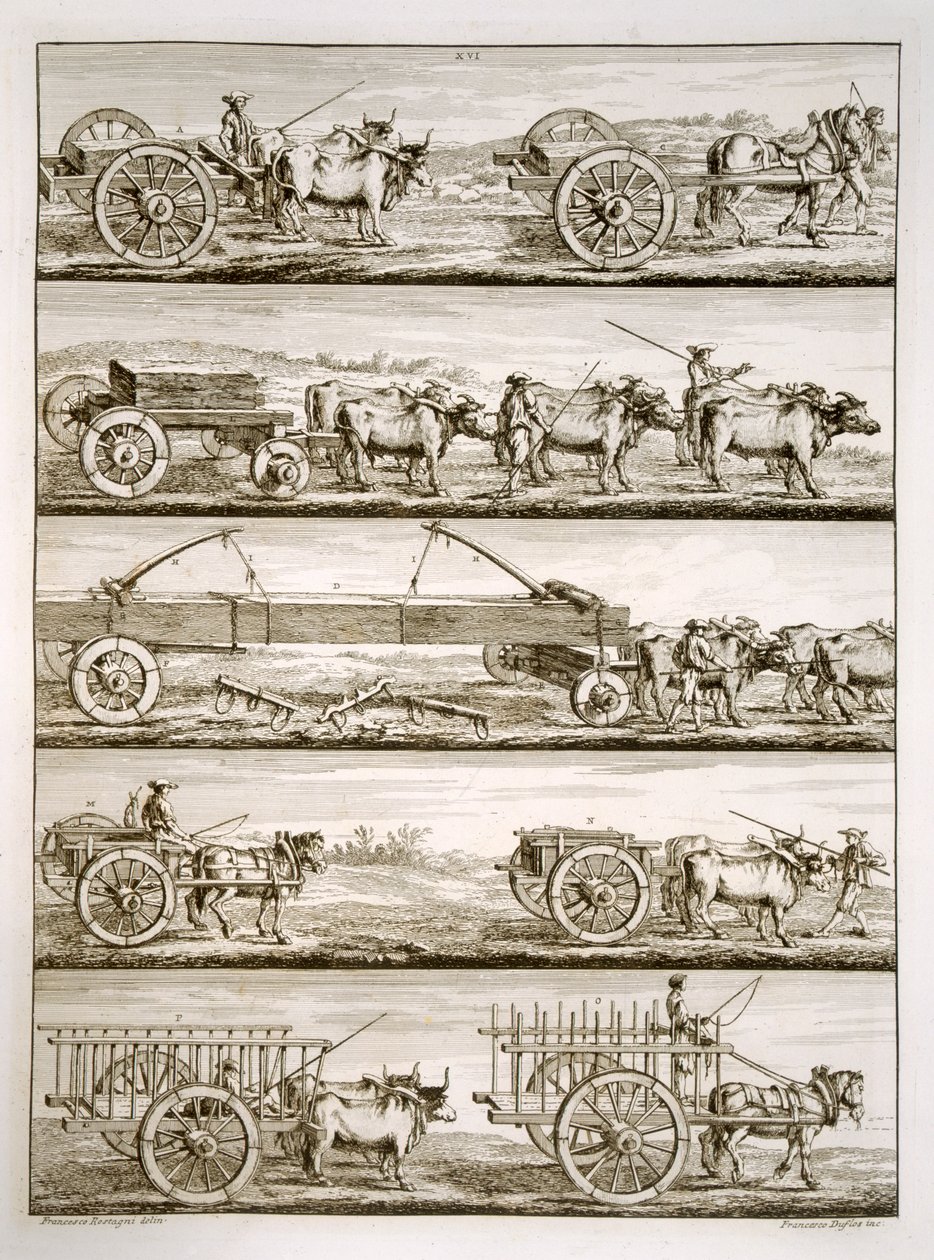 Vários carros de Francesco Rostagni