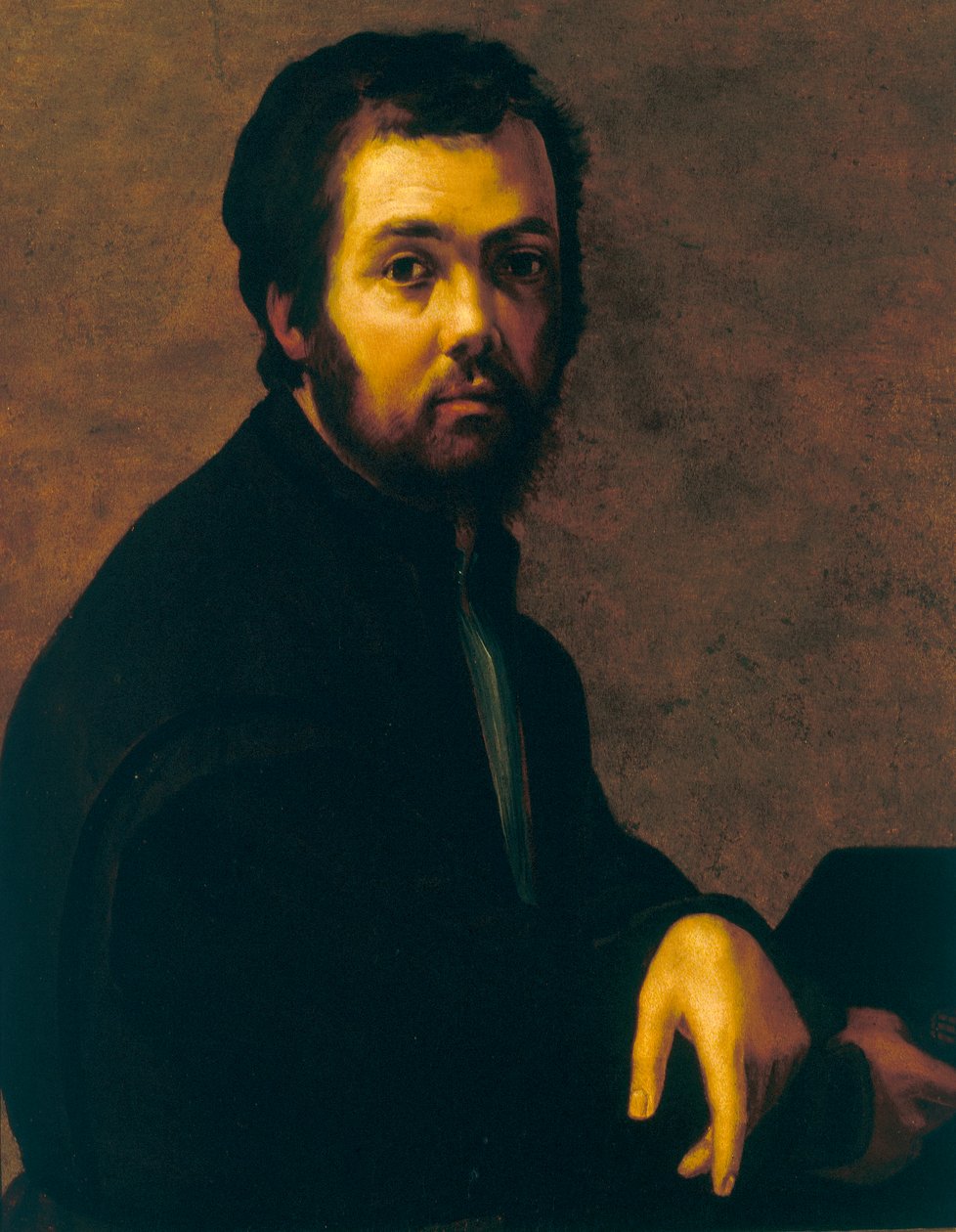 Retrato de um homem de Francesco de Rossi Salviati Cecchino