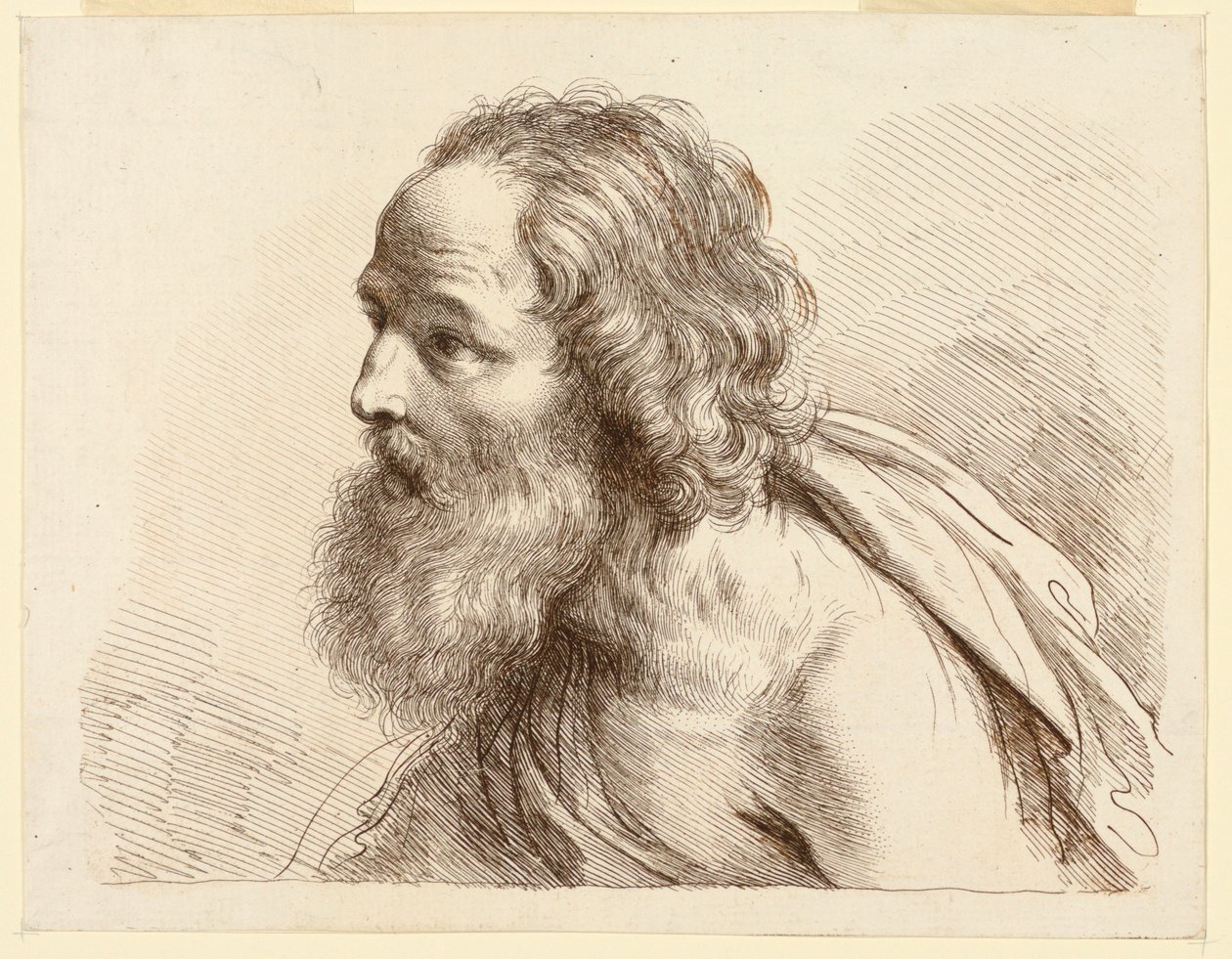 Retrato de um velho com barba, com ombros nus de Francesco Bartolozzi