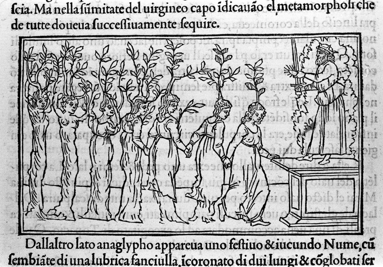 Gravura em "Hypnerotomachia Polyphili" (o sonho de Poliphila) pelo monge dominicano Francesco Colonna, Veneza de Francesco Colonna